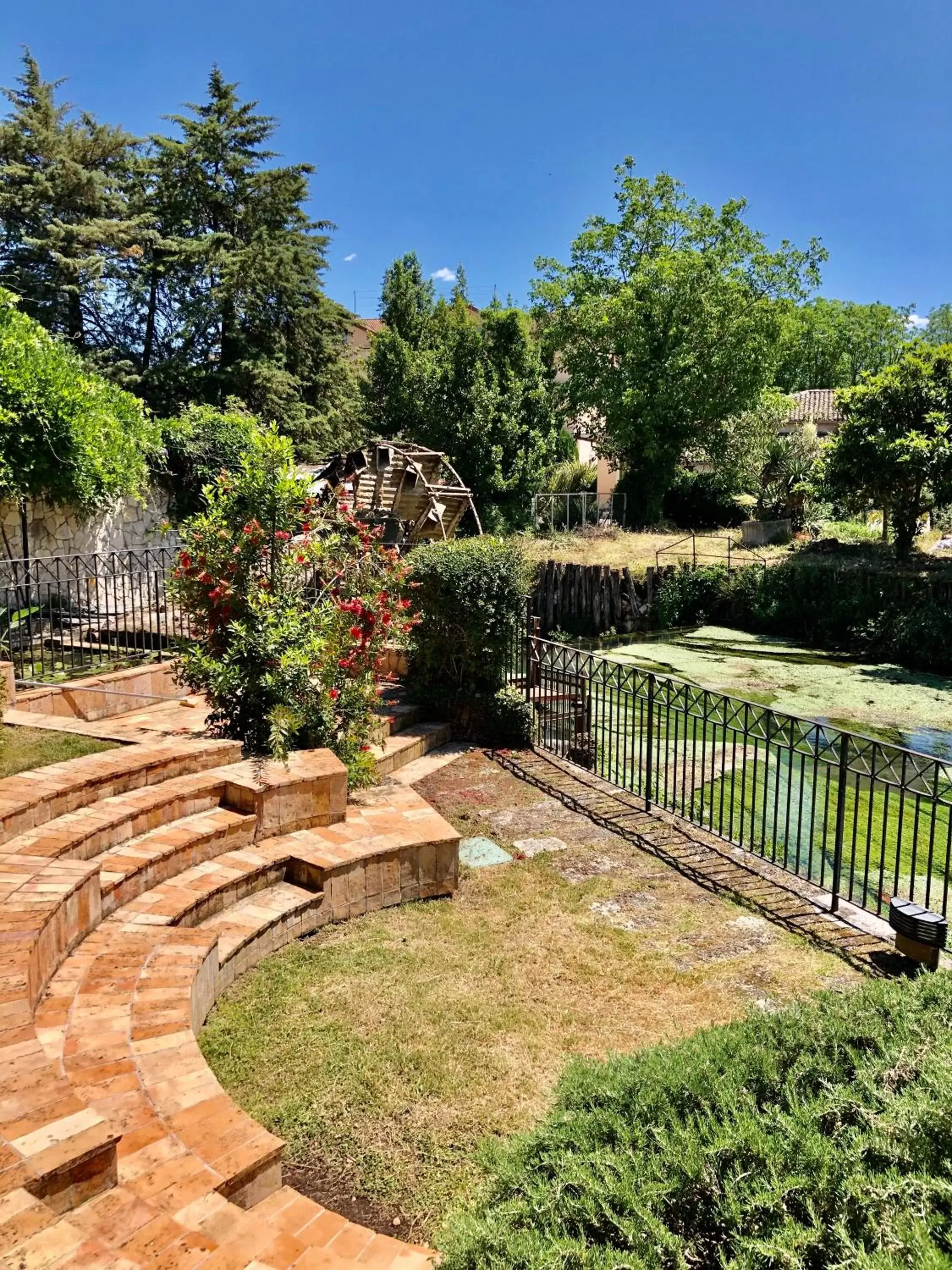 Garden in Albergo Mingone