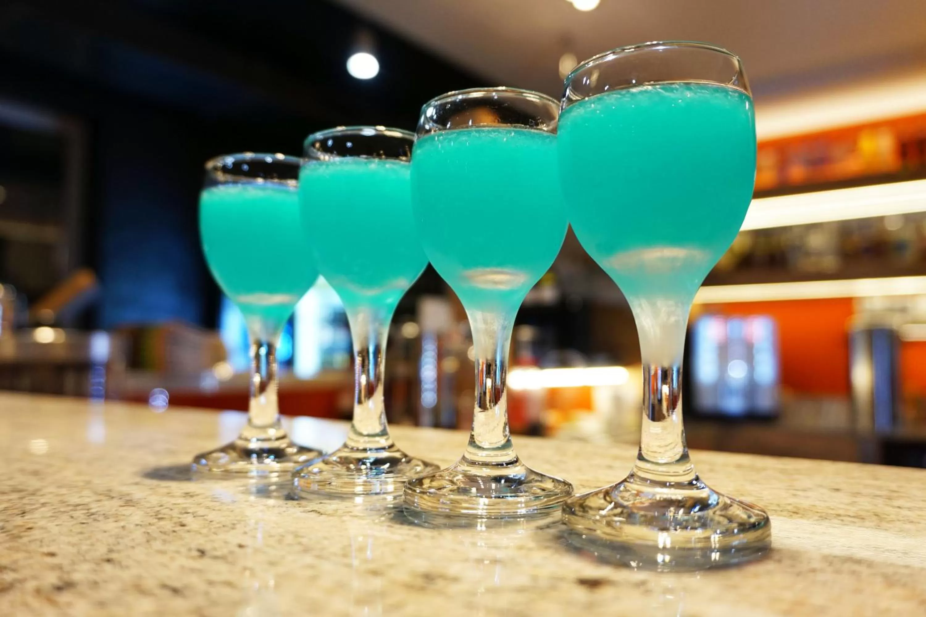 Alcoholic drinks in Villa Winterpol