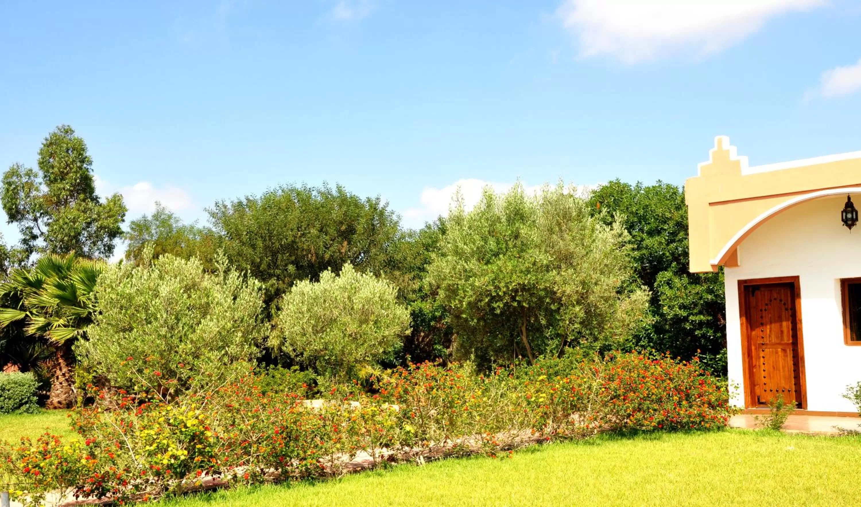 Garden view in Riad Hamdani