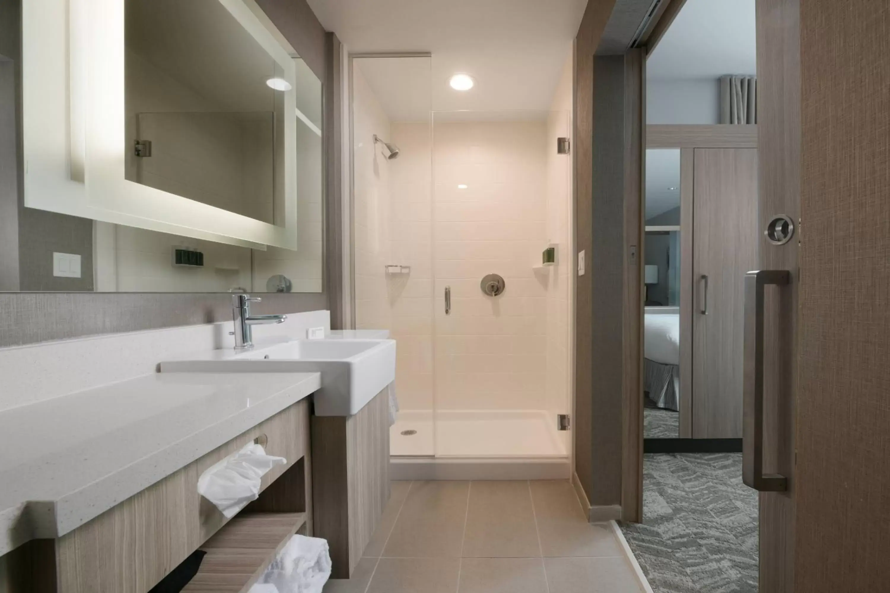 Bathroom in SpringHill Suites by Marriott Texas City