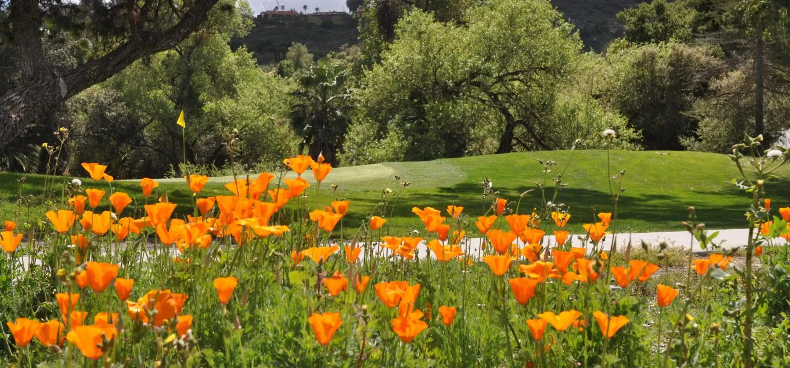 Golfcourse, Garden in San Vicente Golf Resort