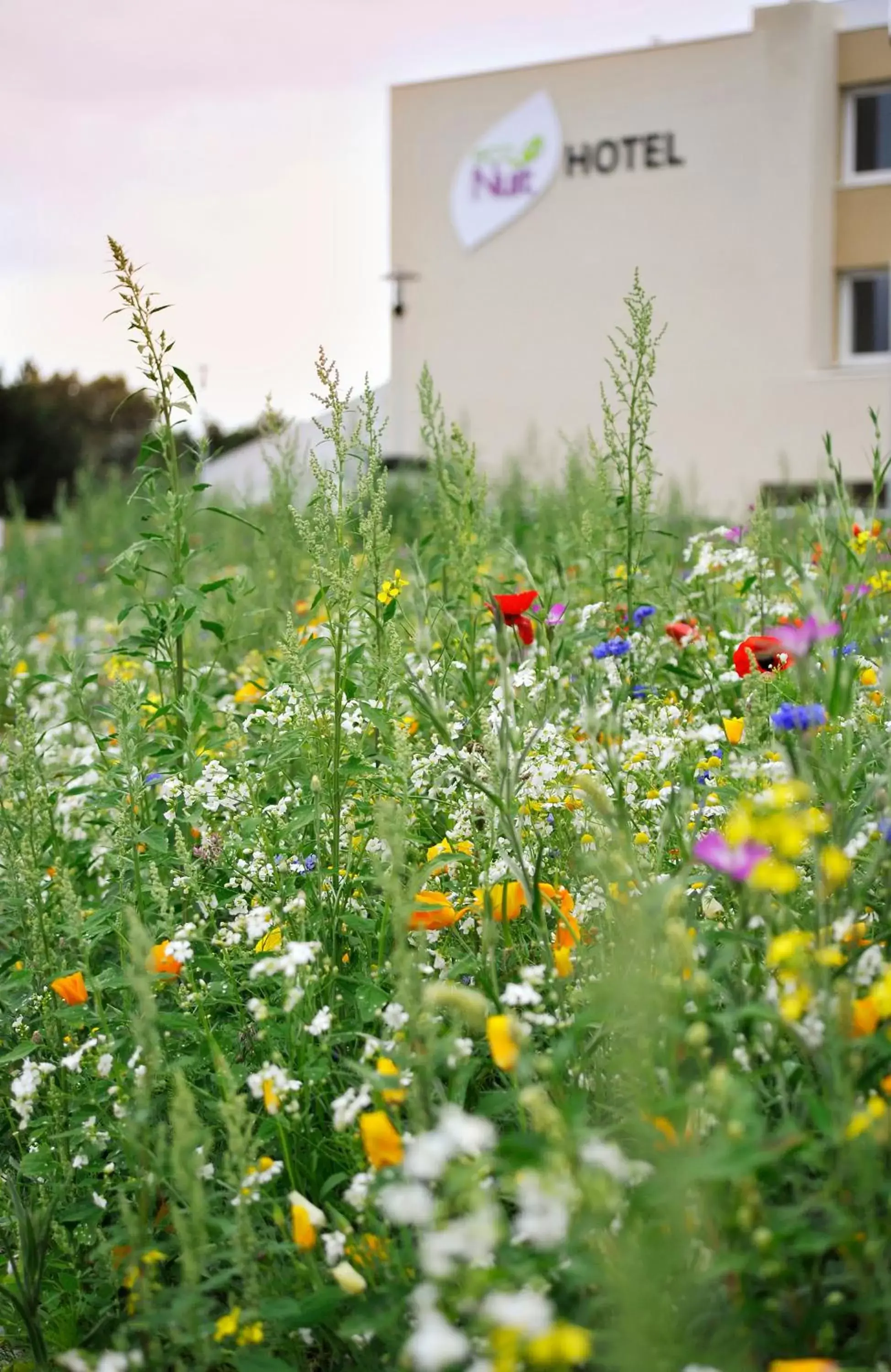 Property building in Eco Nuit La Baule Guerande