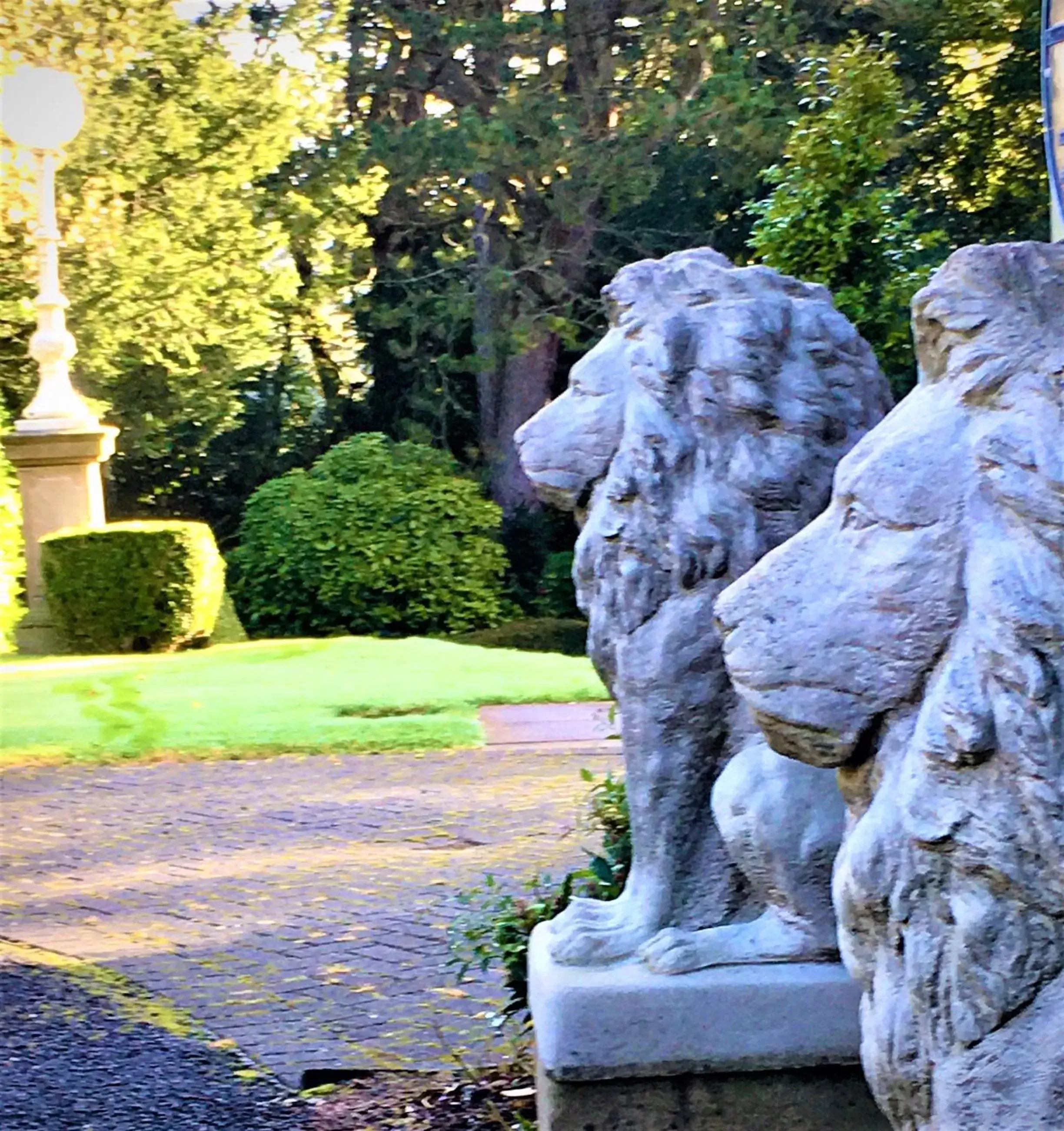 Garden in Astley Bank Hotel