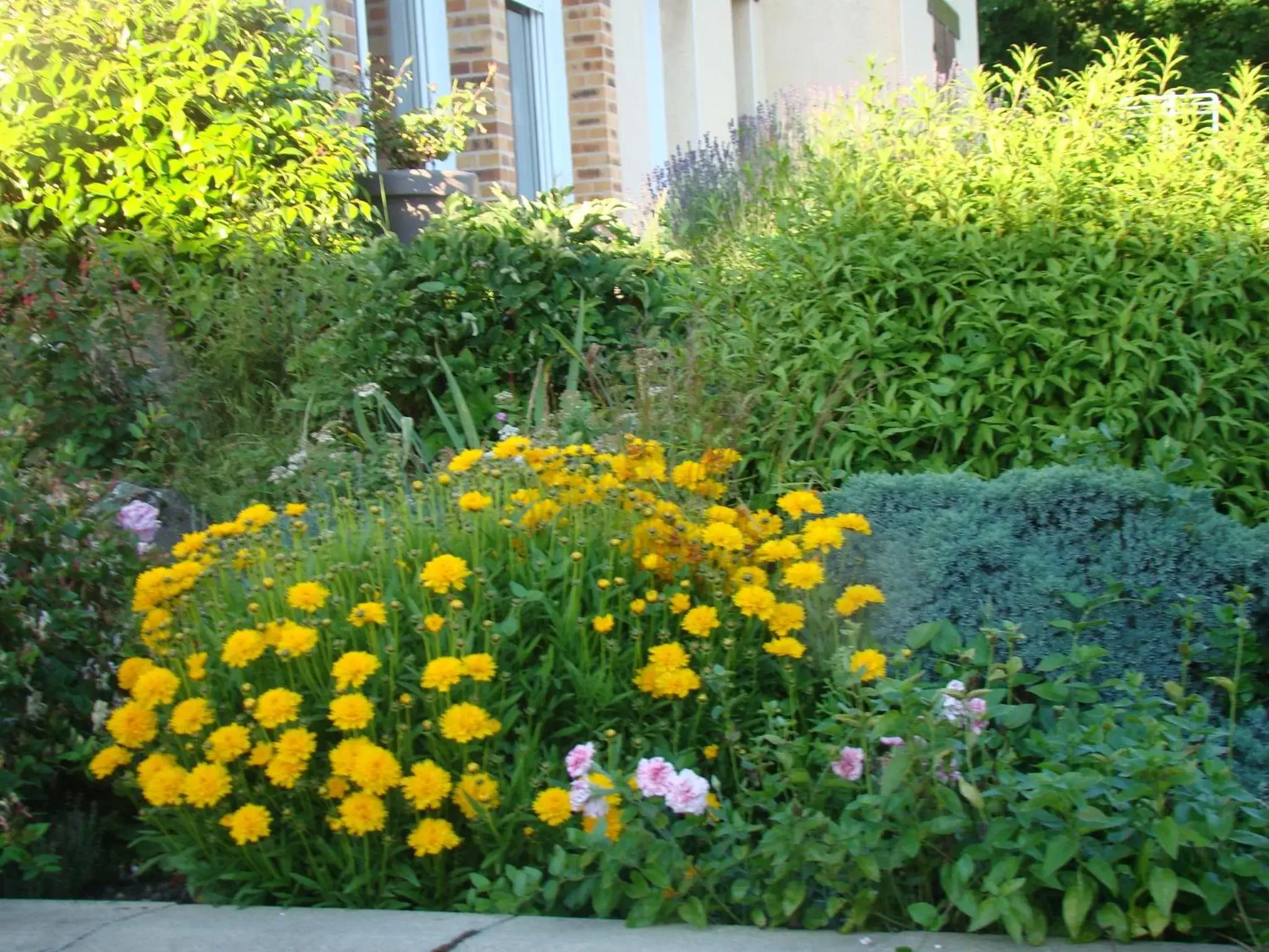 Garden in Chambres d'hôtes Le Bignon