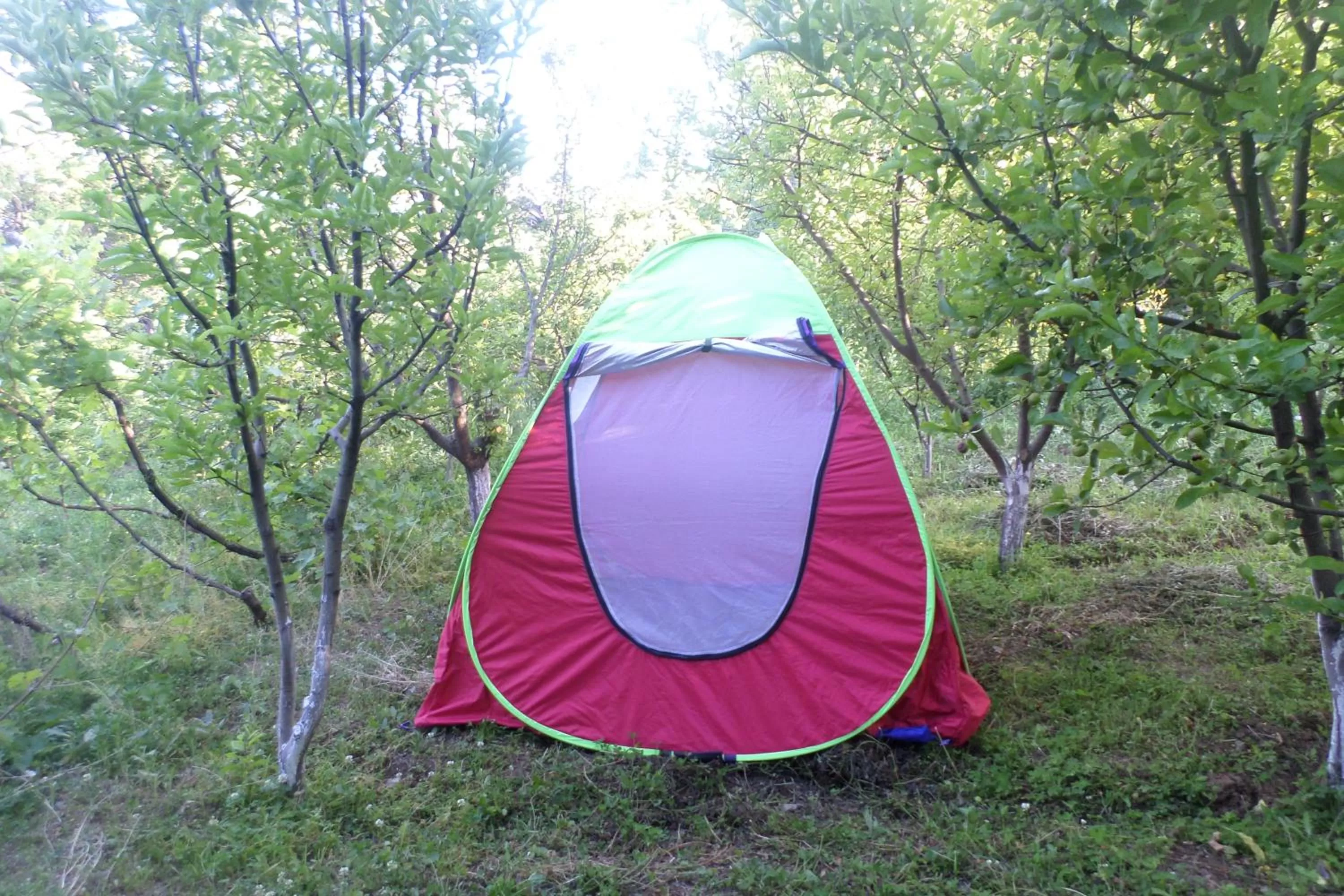 Property building in Spandaryan House