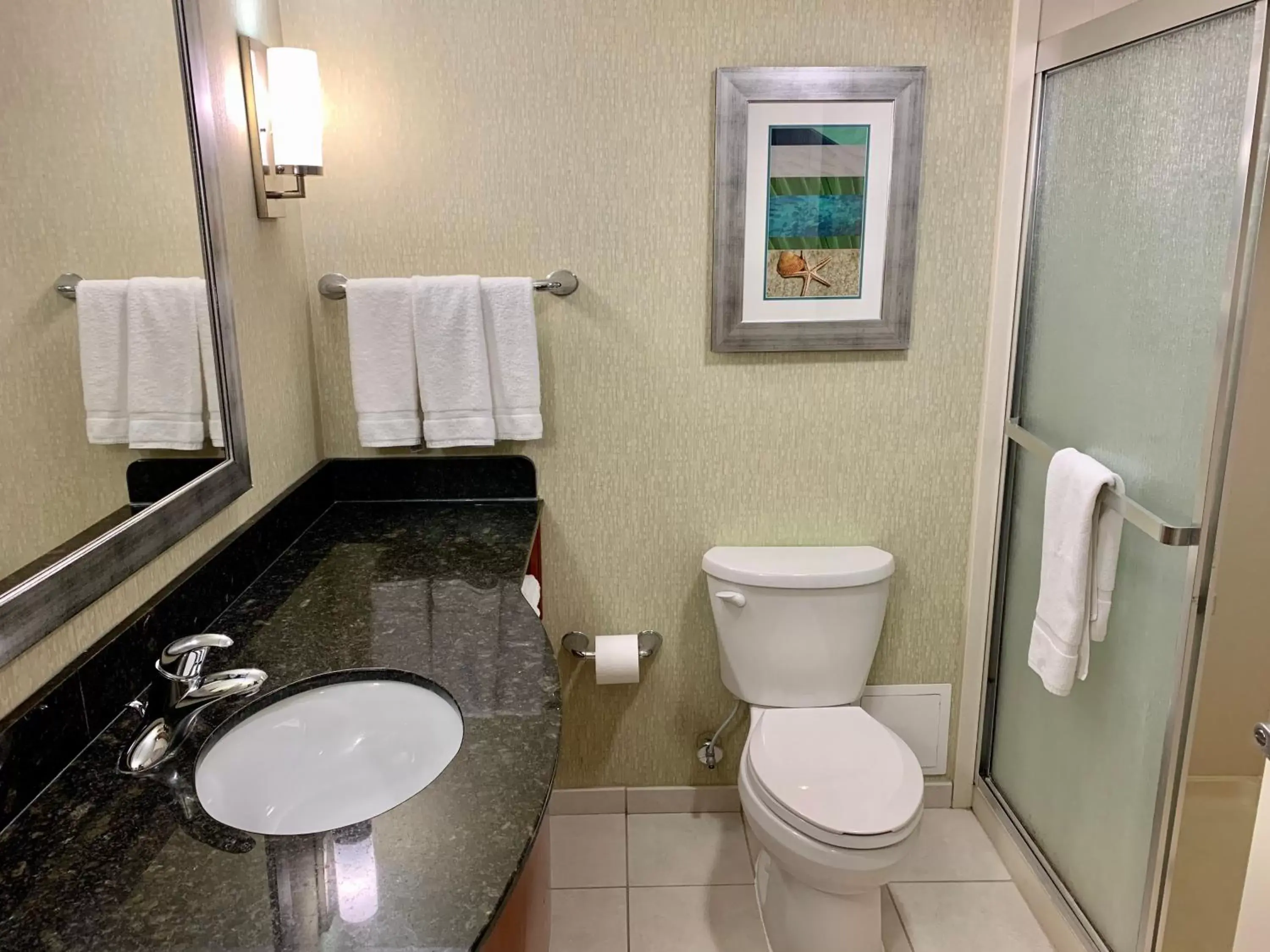 Bathroom in Holiday Inn & Suites Virginia Beach - North Beach, an IHG Hotel