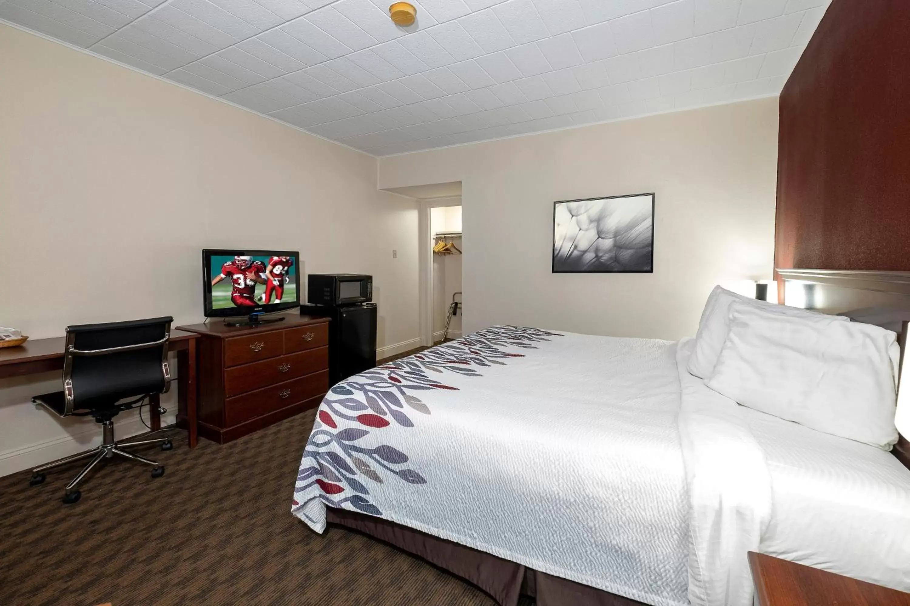 Bedroom, Bed in Red Roof Inn & Suites Hazleton