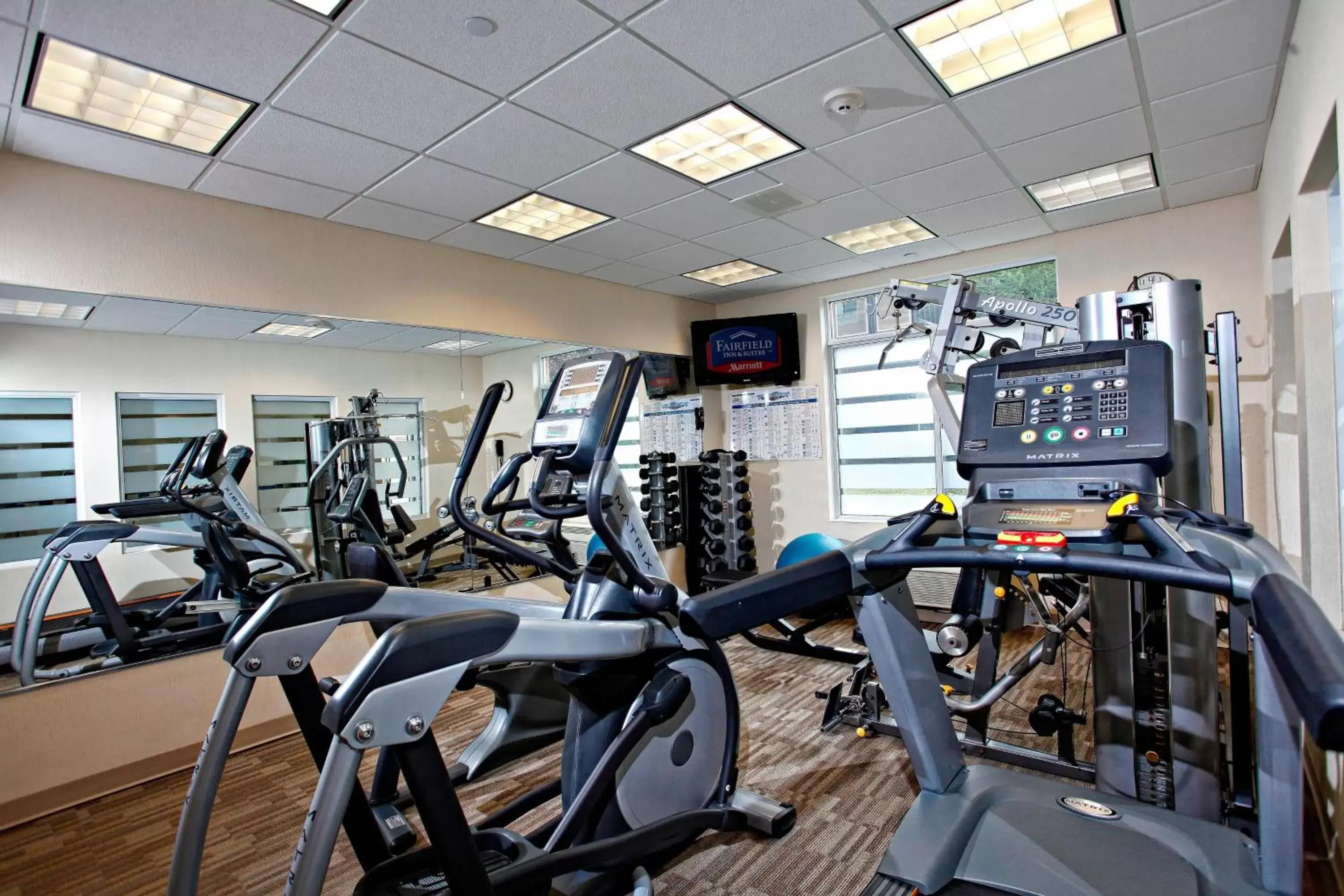 Fitness centre/facilities, Fitness Center/Facilities in Marriott Fairfield Sudbury