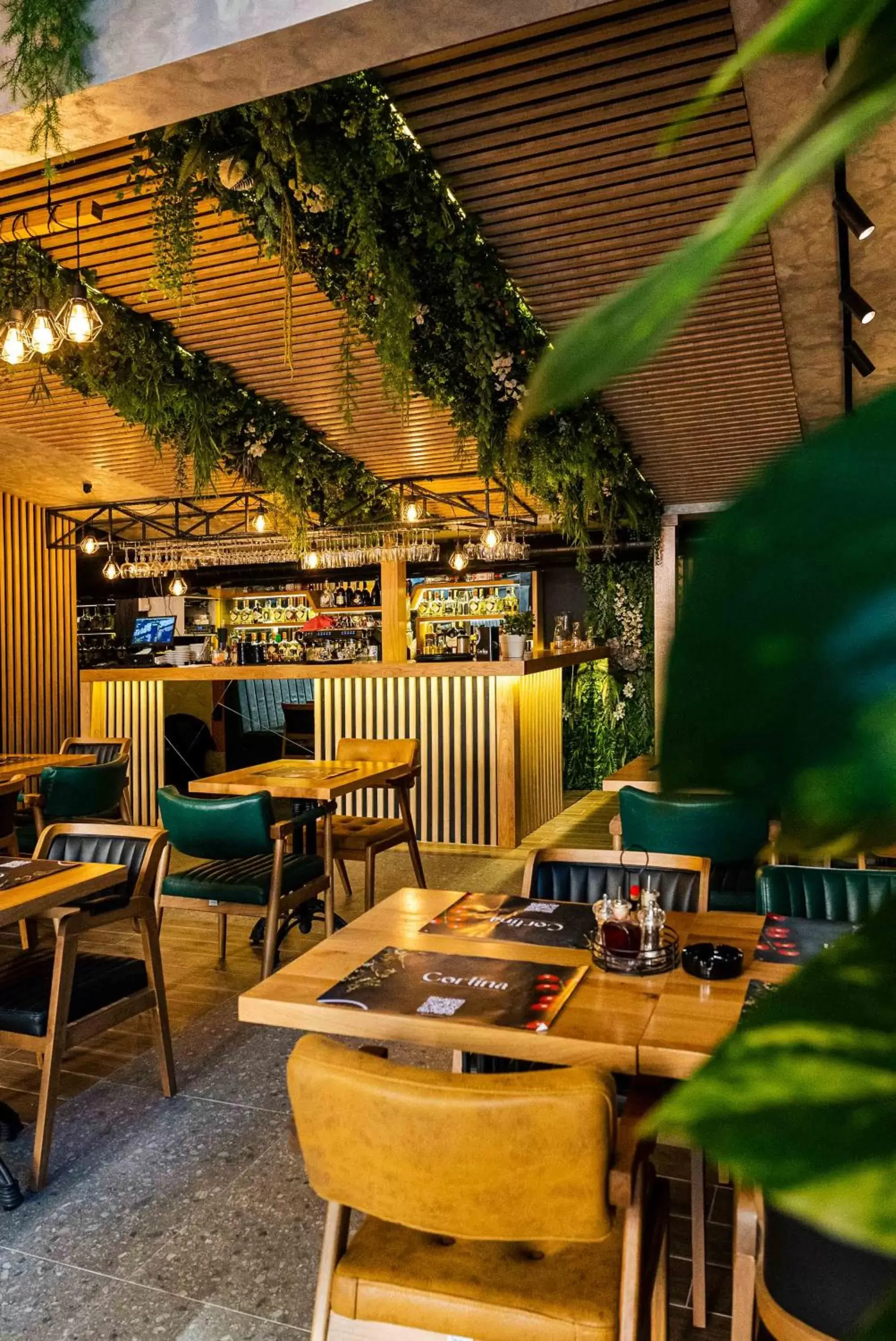 Restaurant/places to eat in Hotel Dum by Muskat Restaurant/places to eat in Hotel Dum by Muskat