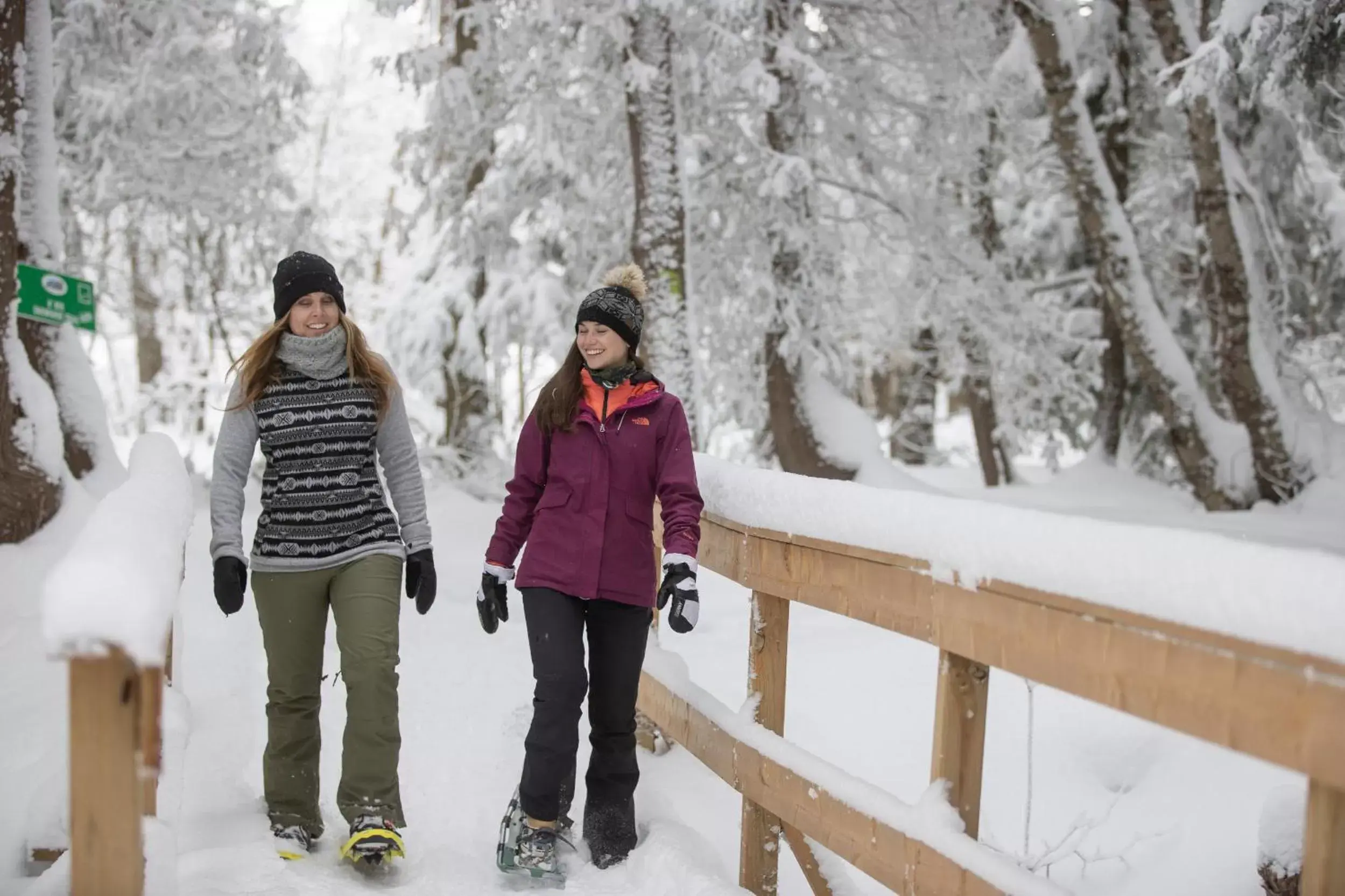 Hiking, Winter in Blue Mountain Resort Mosaic Suites