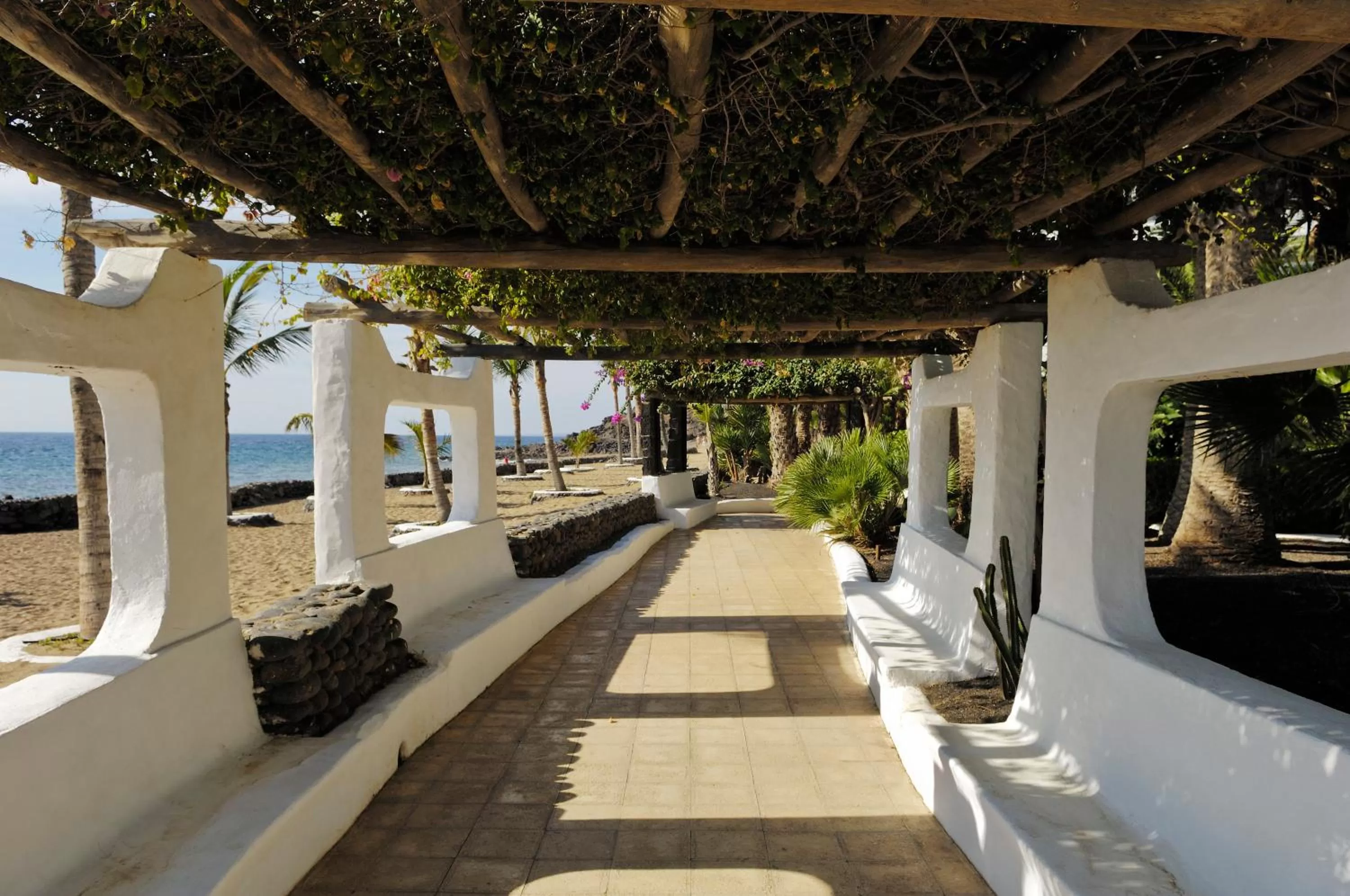 Garden in VIK Hotel San Antonio