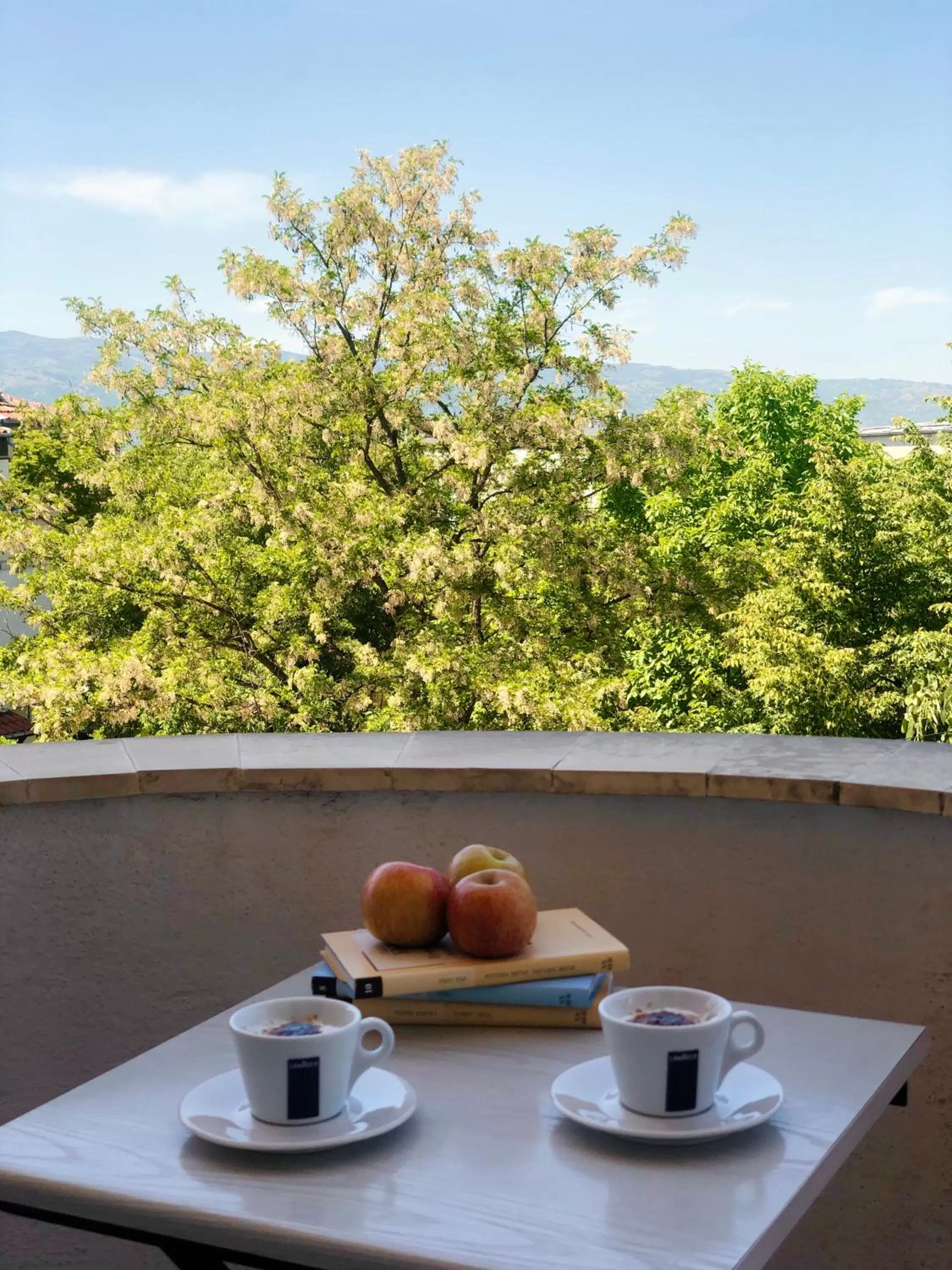 Natural landscape, Balcony/Terrace in Elena Hotel