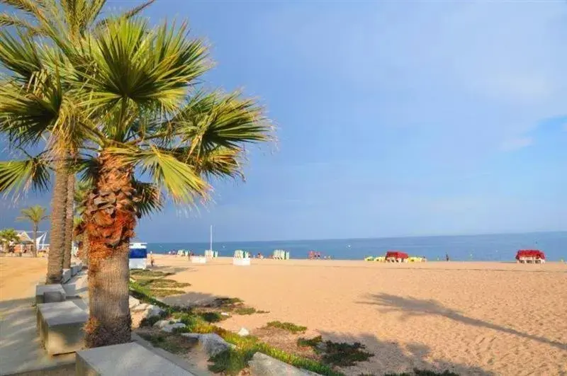 Beach in Hotel Haromar