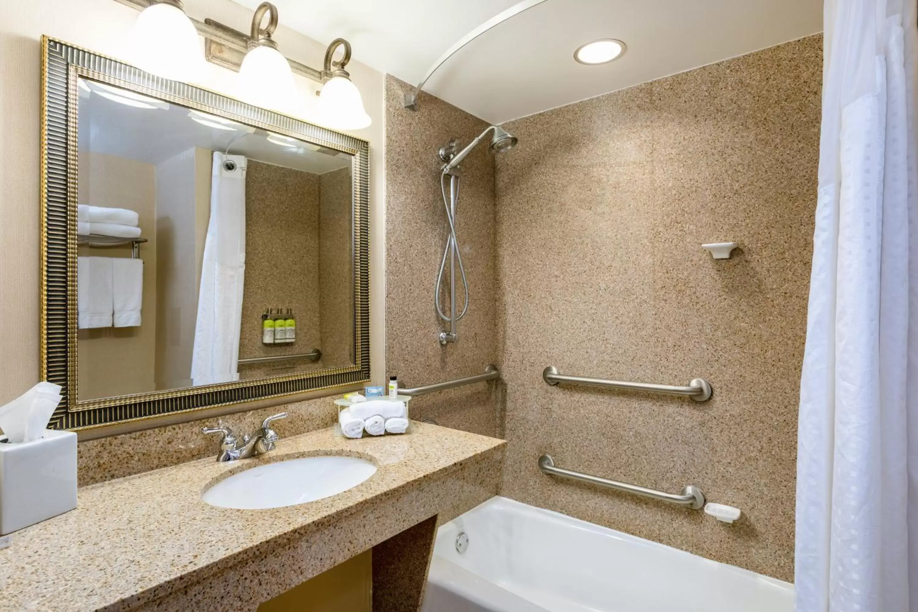 Bathroom in Holiday Inn Express & Suites Bradenton East-Lakewood Ranch, an IHG Hotel