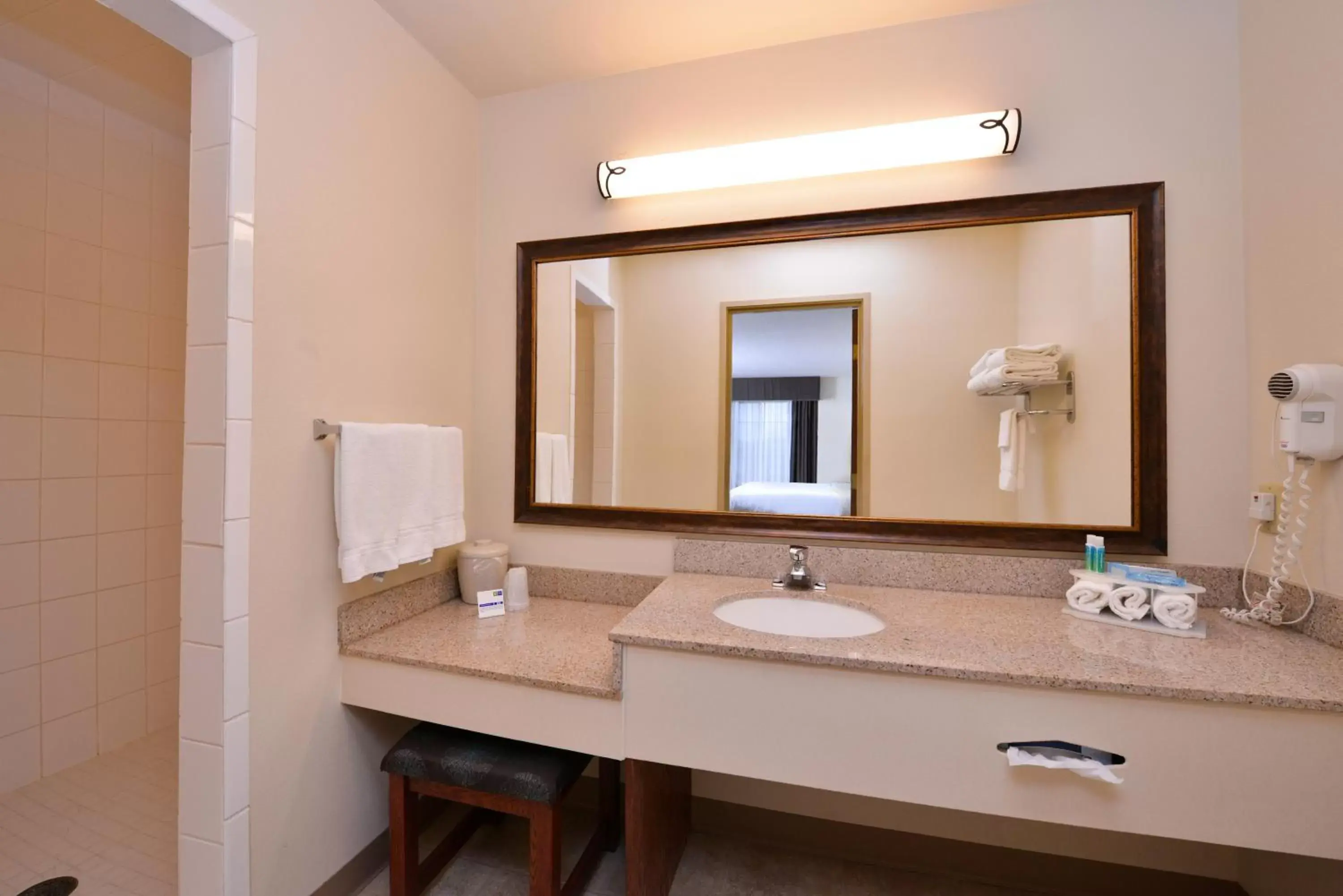 Bathroom in Holiday Inn Express Hotel & Suites Sioux Falls At Empire Mall, an IHG Hotel