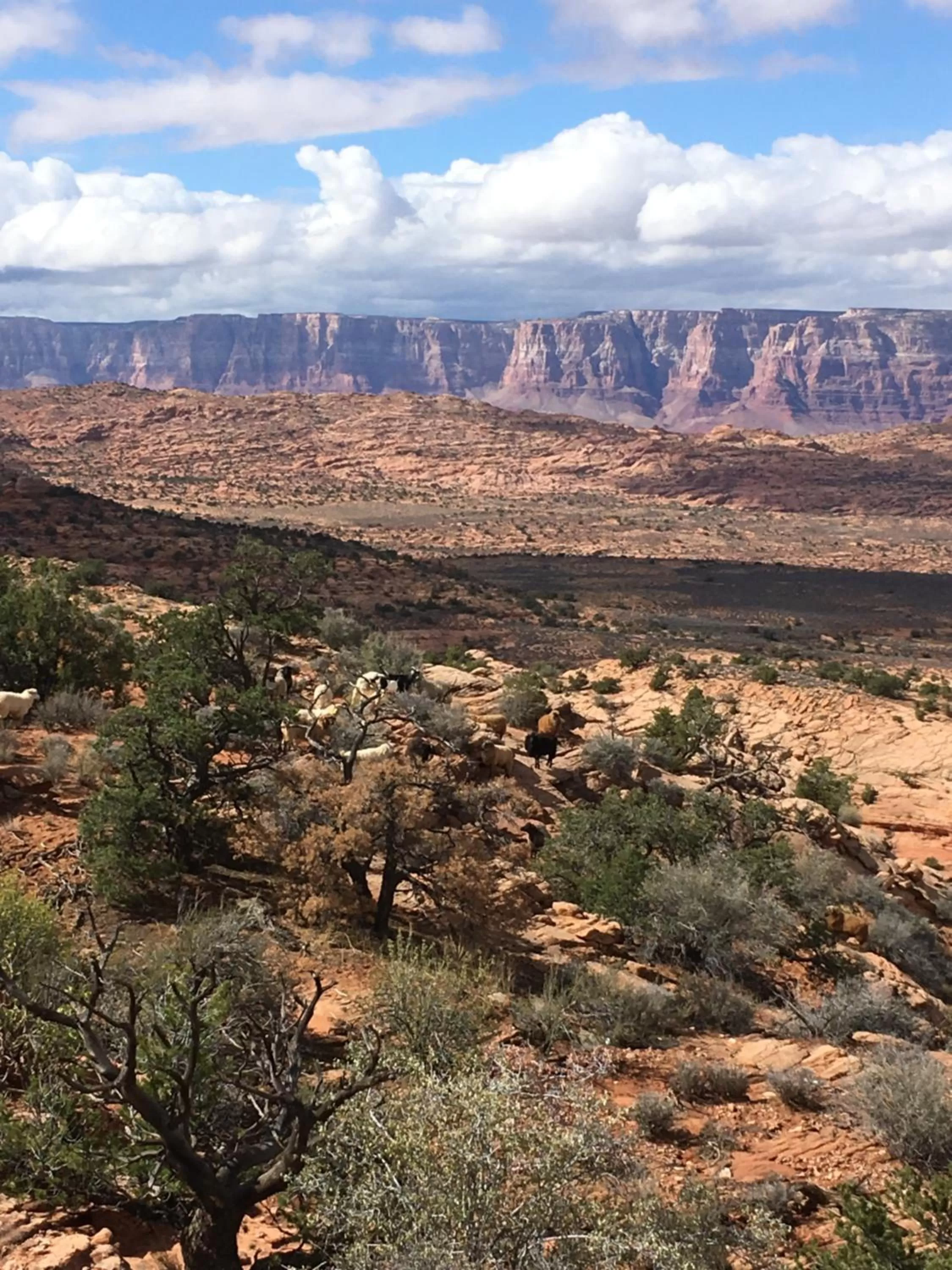 Natural landscape in Shash Dine' EcoRetreat