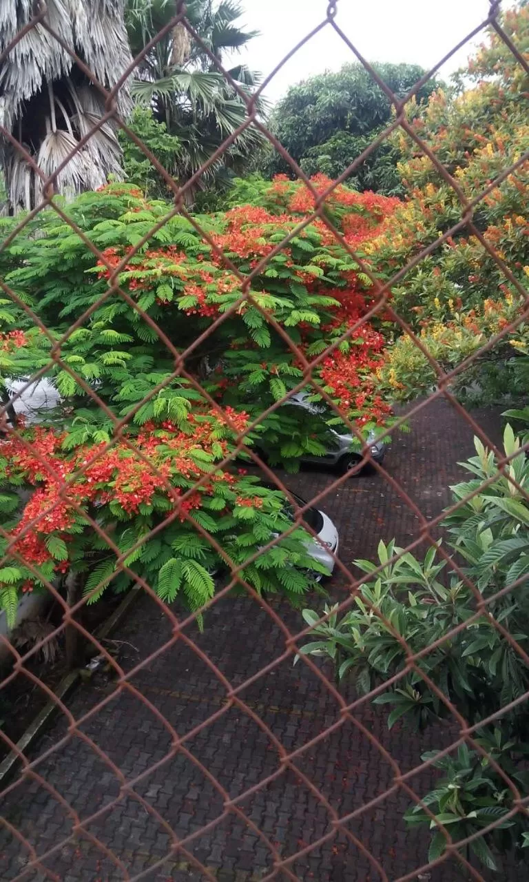 Hotel Angela Carolina