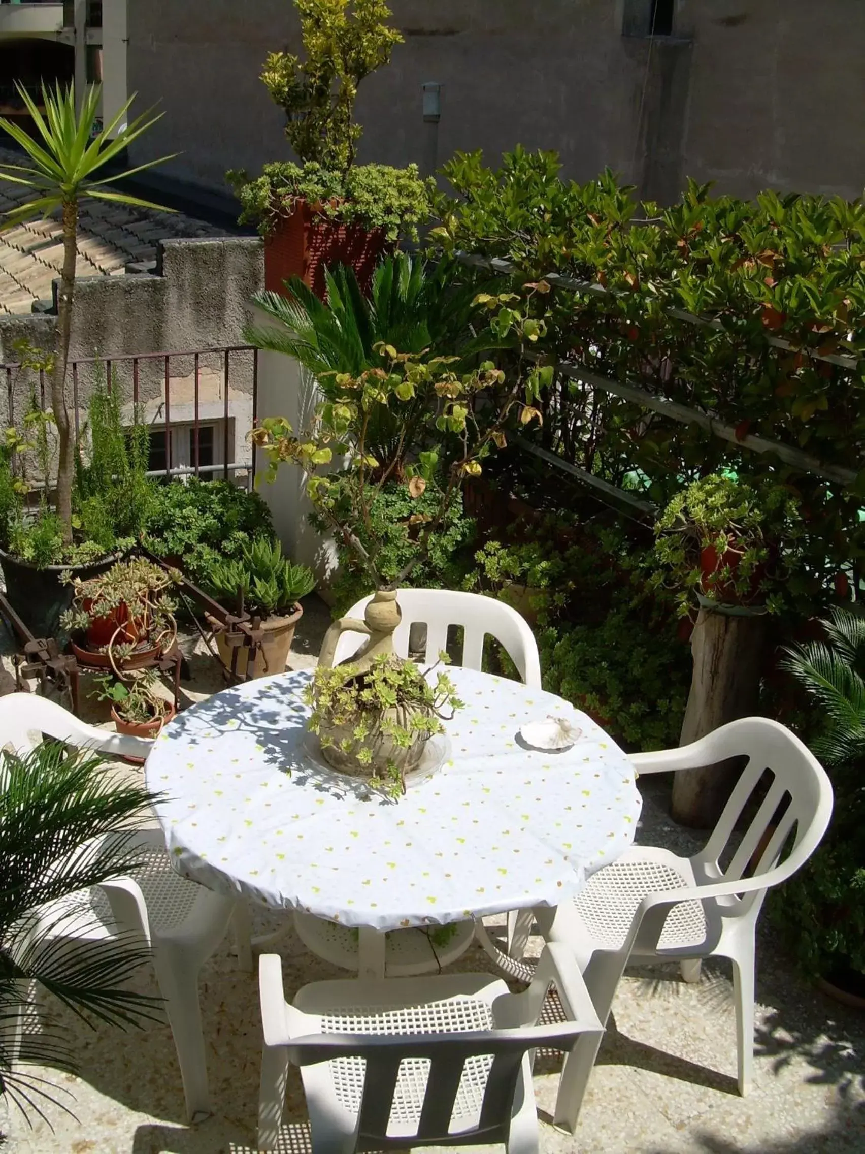 Balcony/Terrace in Albergo Roma