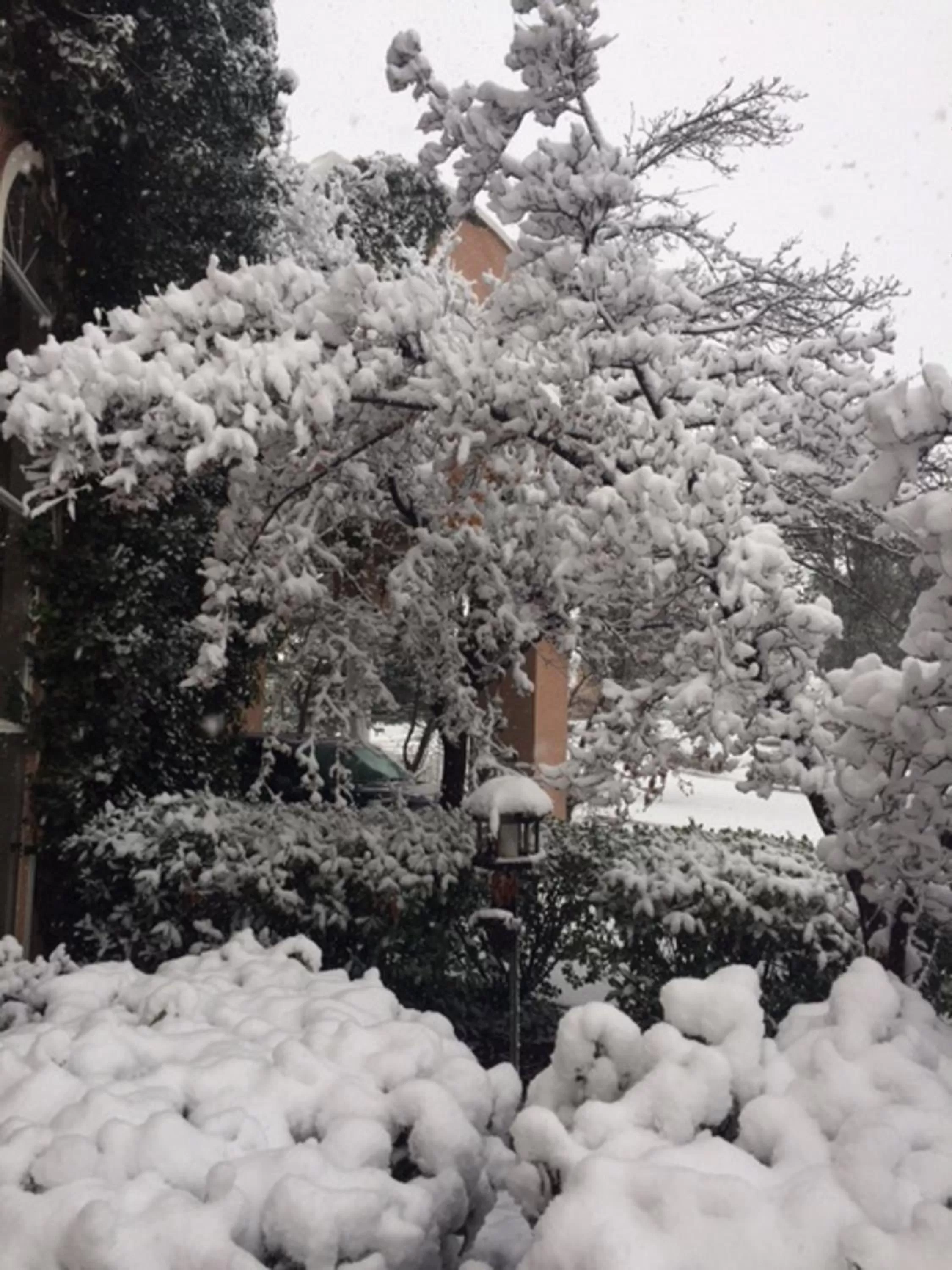 Winter in Forest Villas Hotel