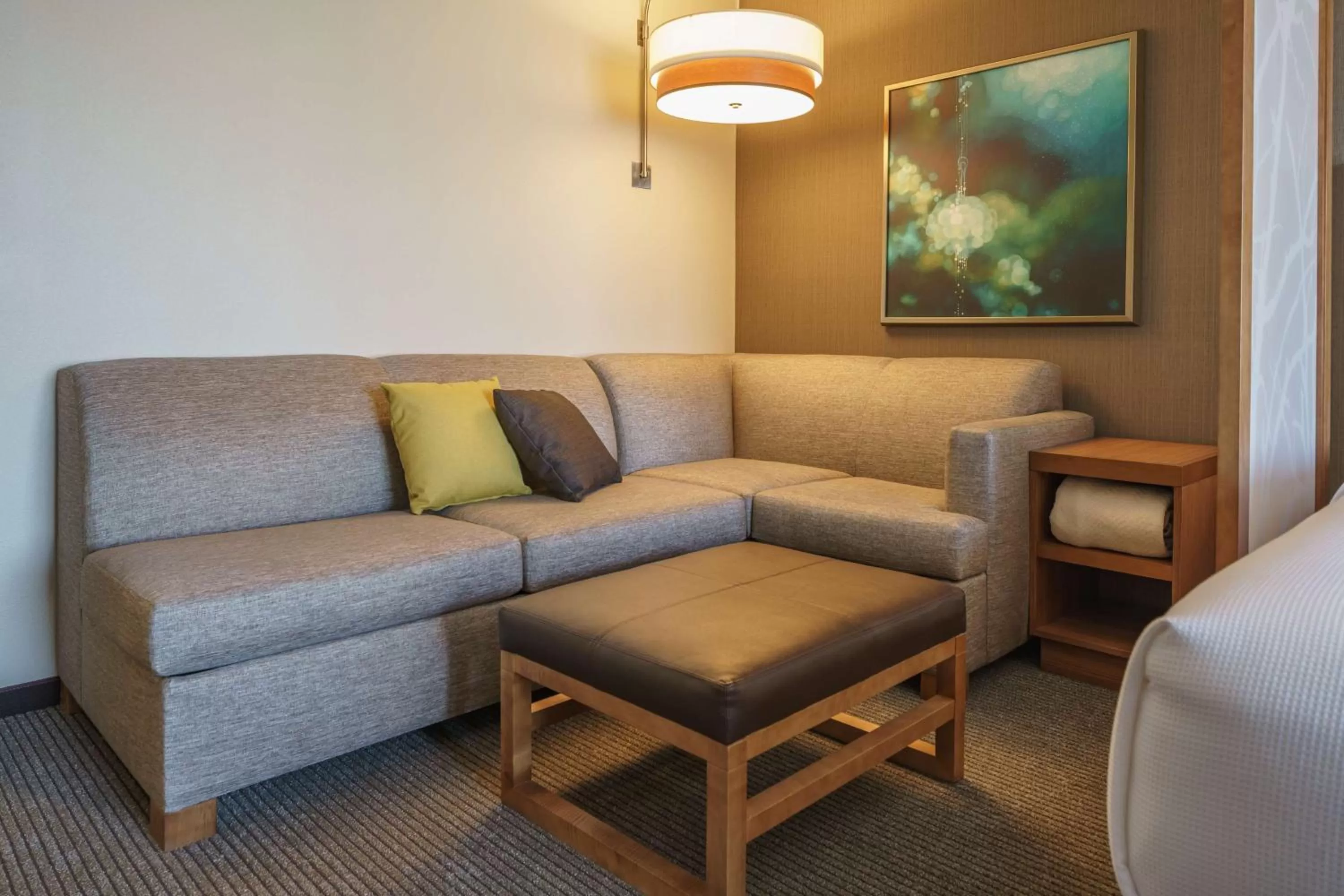 Photo of the whole room in Hyatt Place Houston Galleria