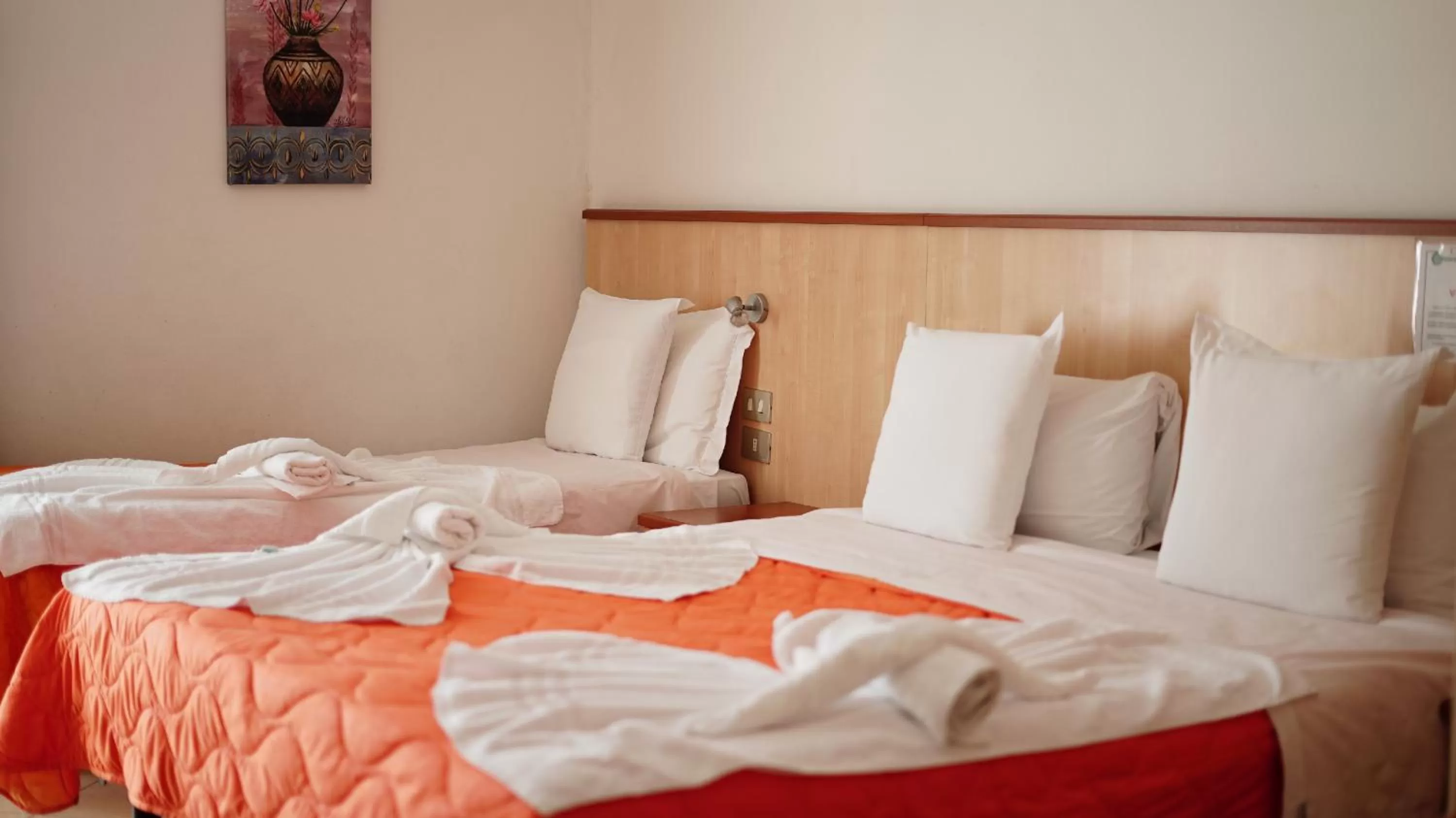 Bed in Hotel Nuovo Sole HNS