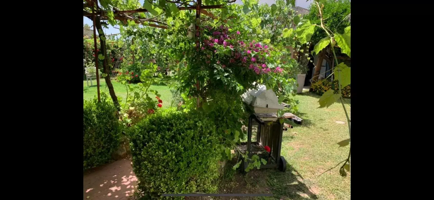 Garden in Palazzo Baffa