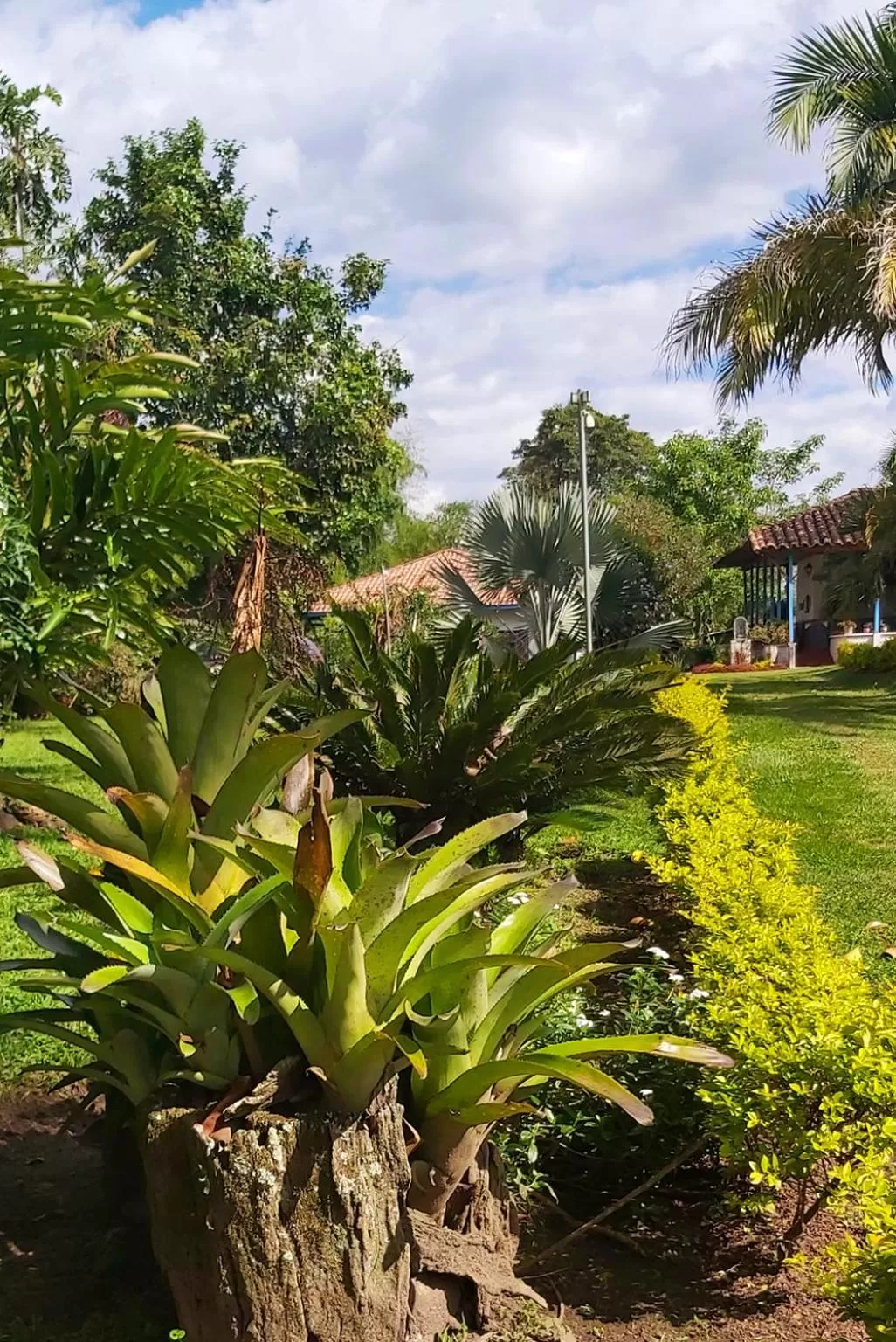 Natural landscape in Balsora Hotel Boutique