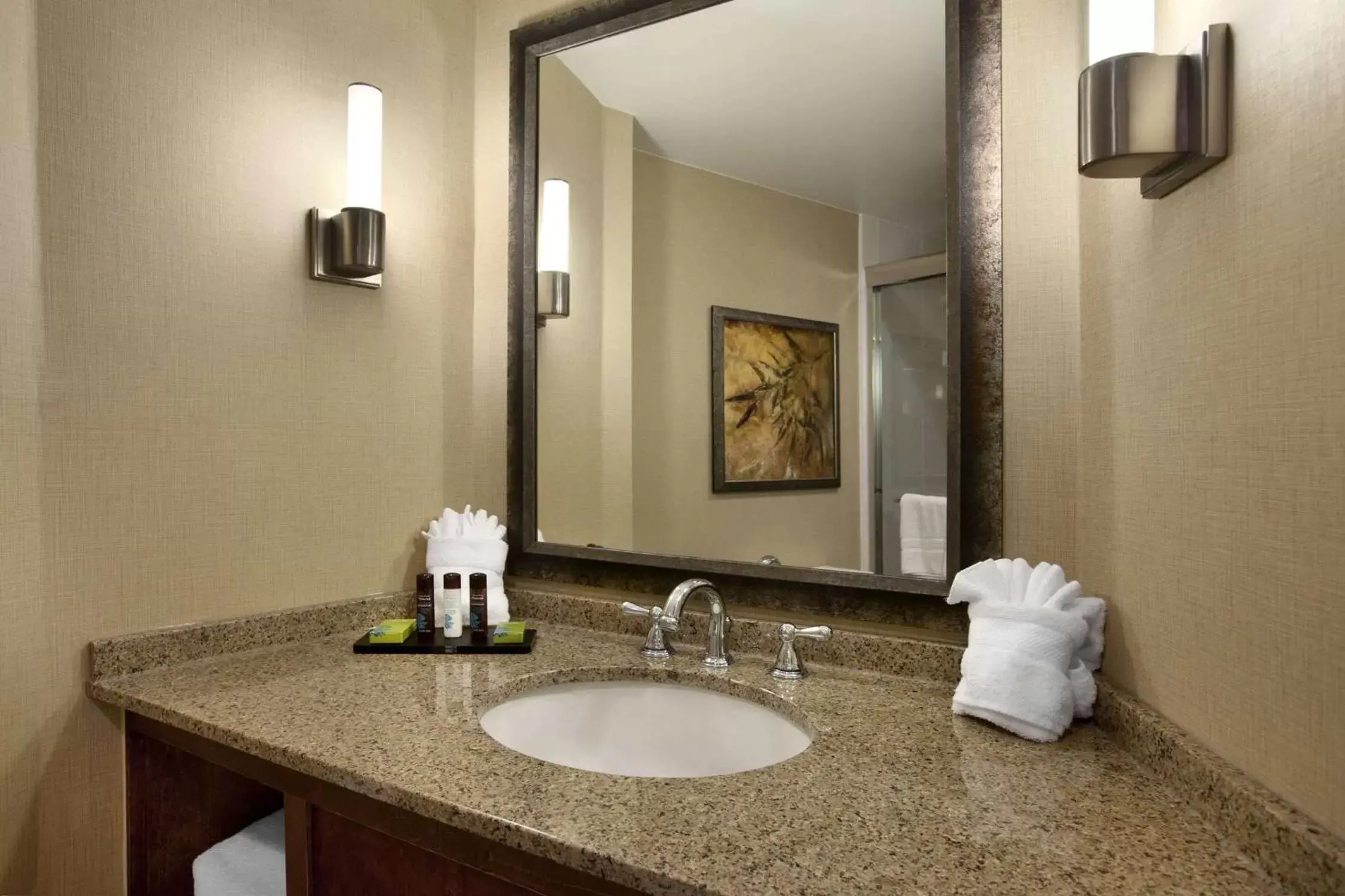 Bathroom in Embassy Suites by Hilton Bloomington/Minneapolis