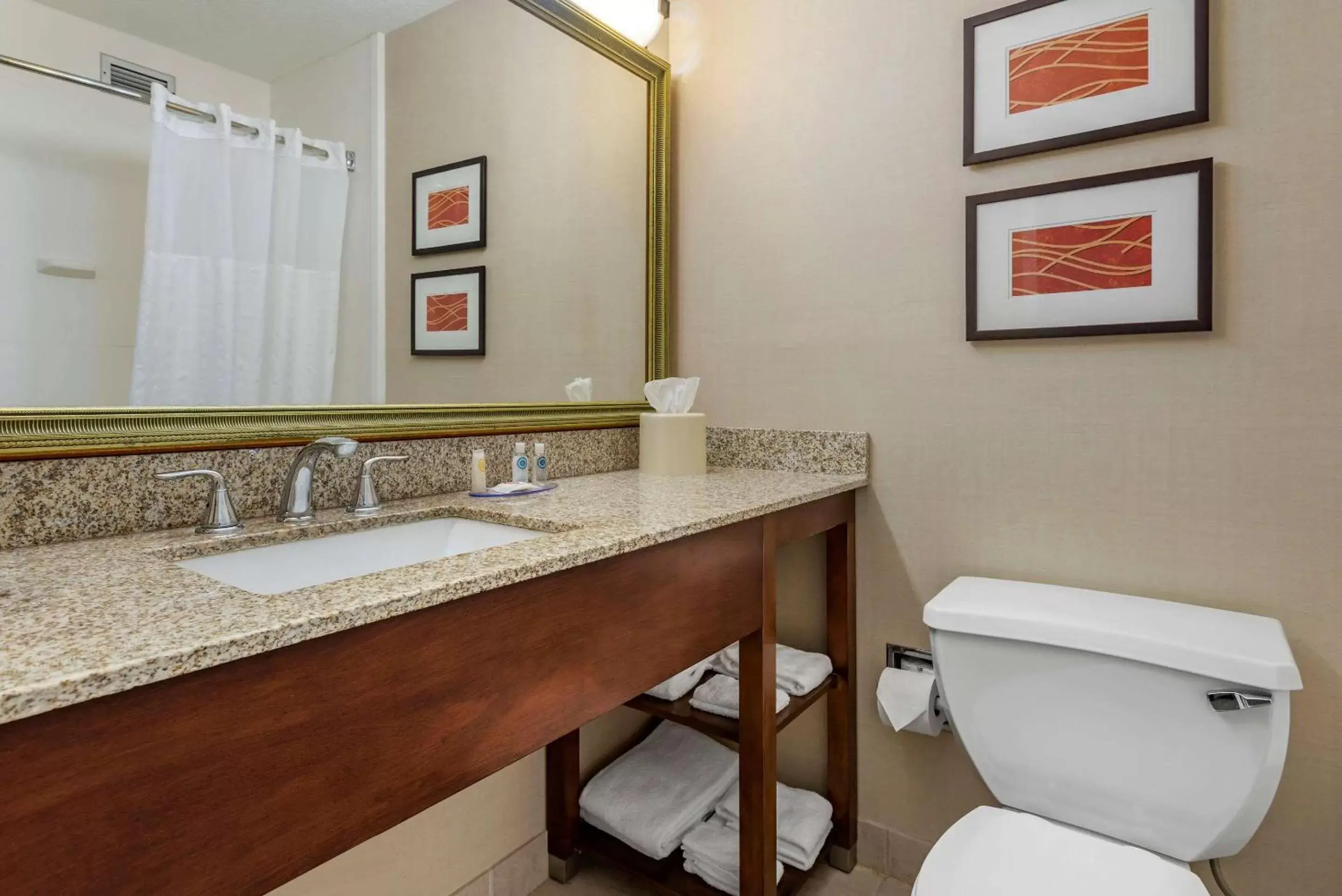 Bathroom in Comfort Inn Lancaster County North