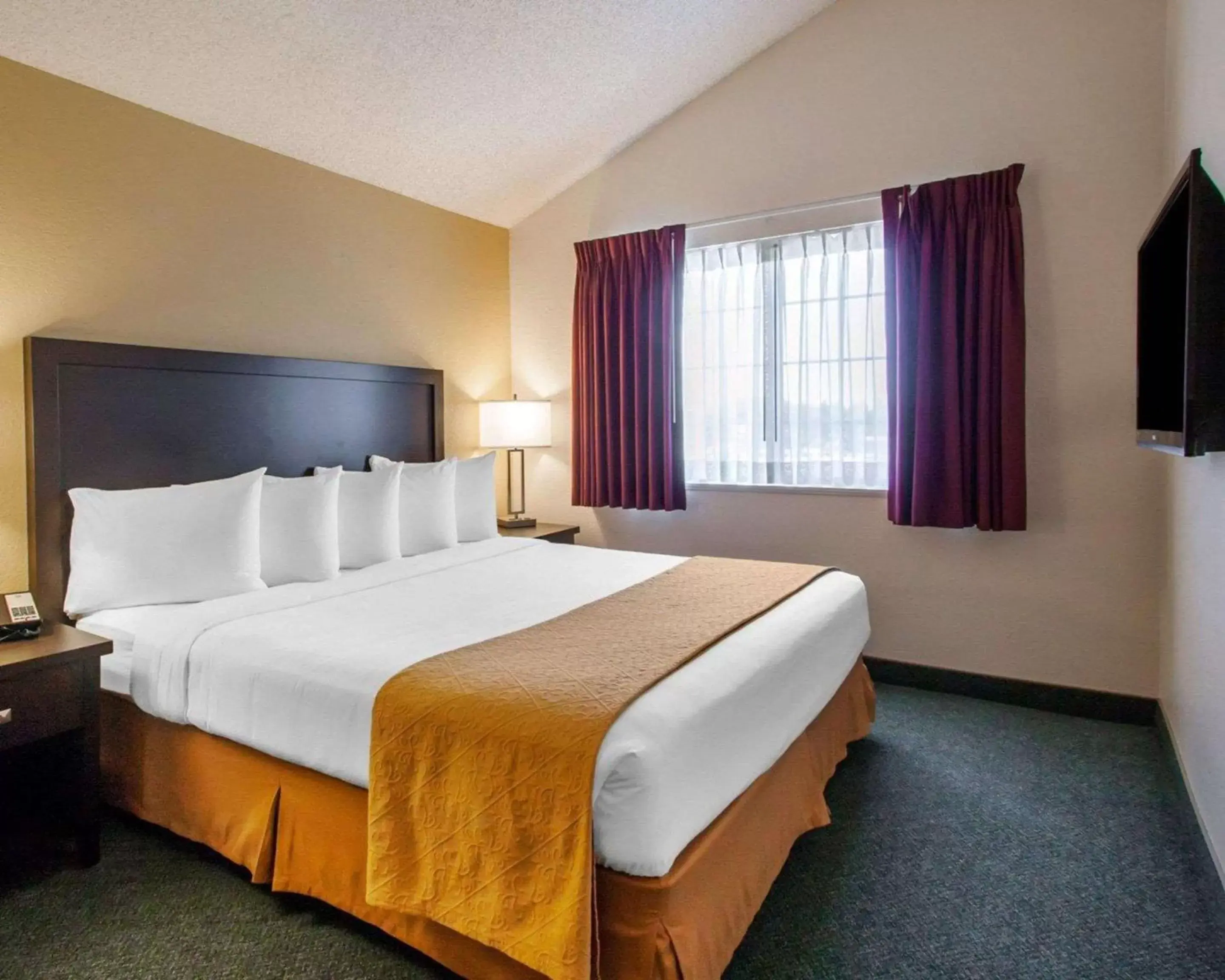 Photo of the whole room, Bed in Quality Inn & Suites Springfield