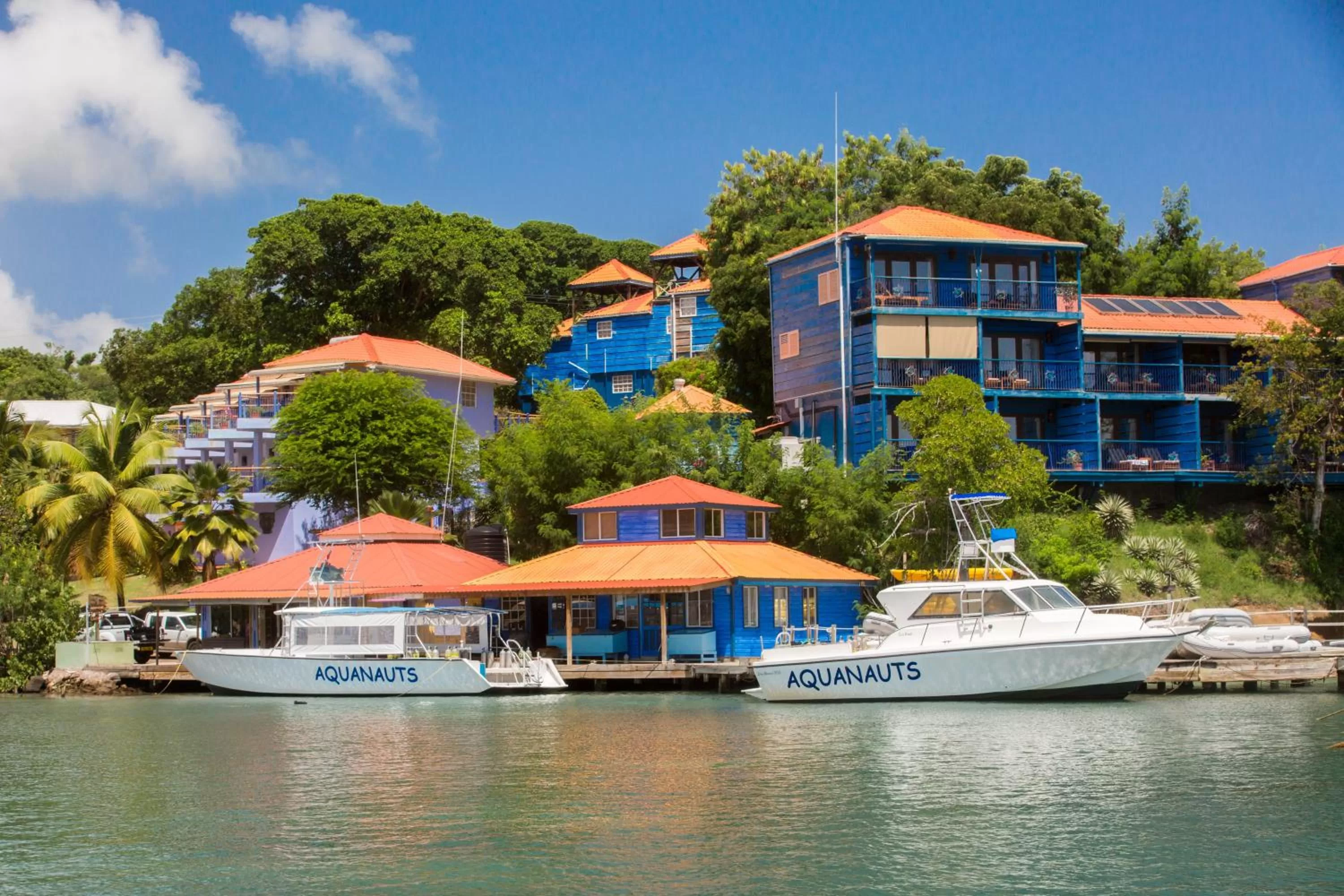 Fishing in True Blue Bay Resort