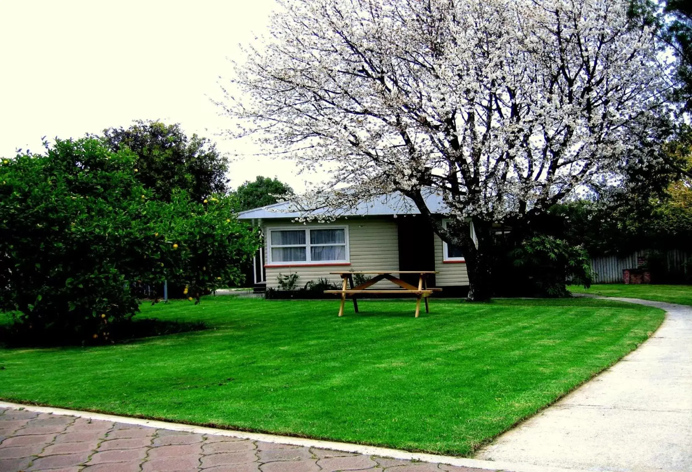 Patio, Property Building in Tudor Lodge Motel