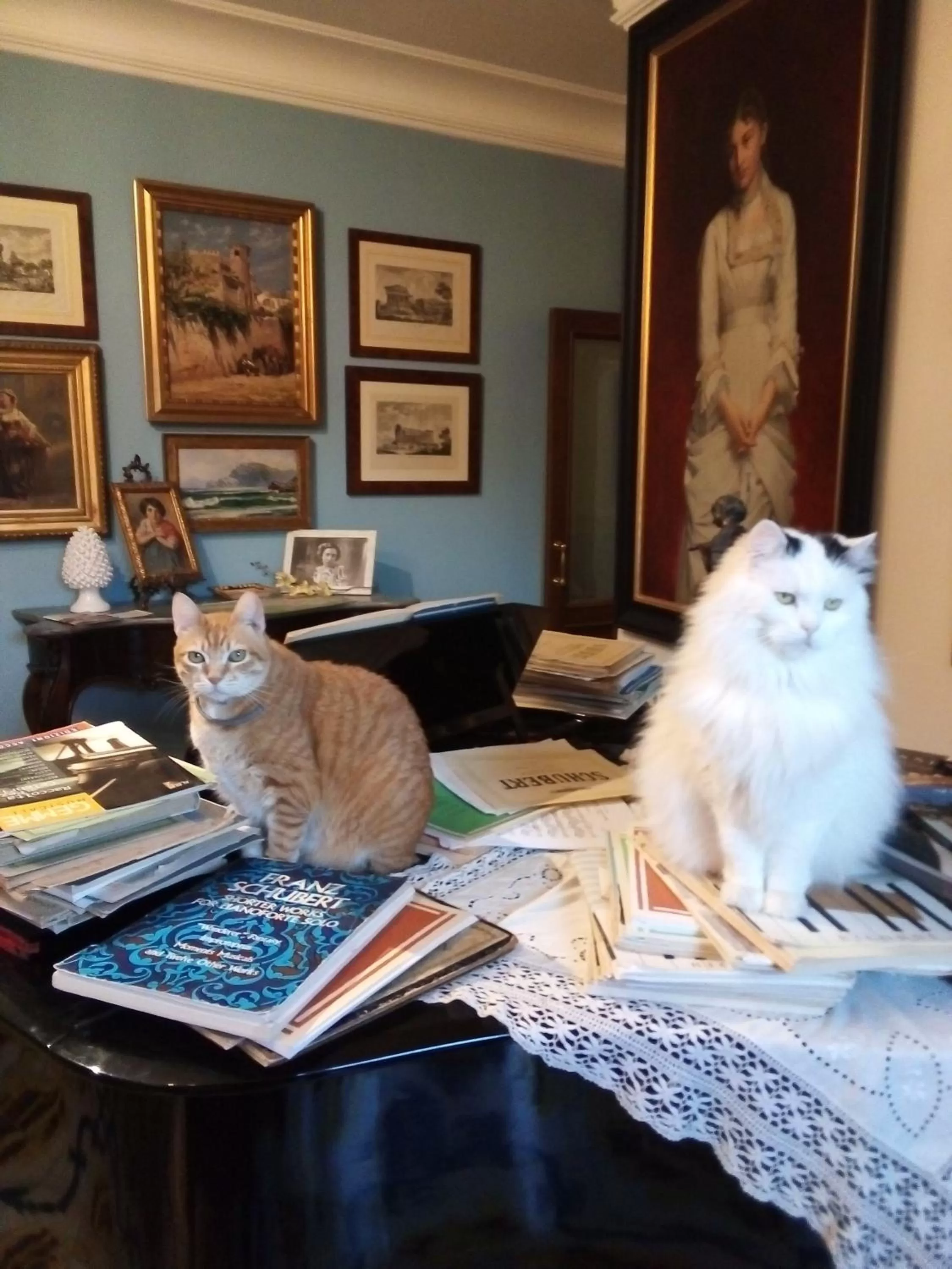 terrazze di montelusa