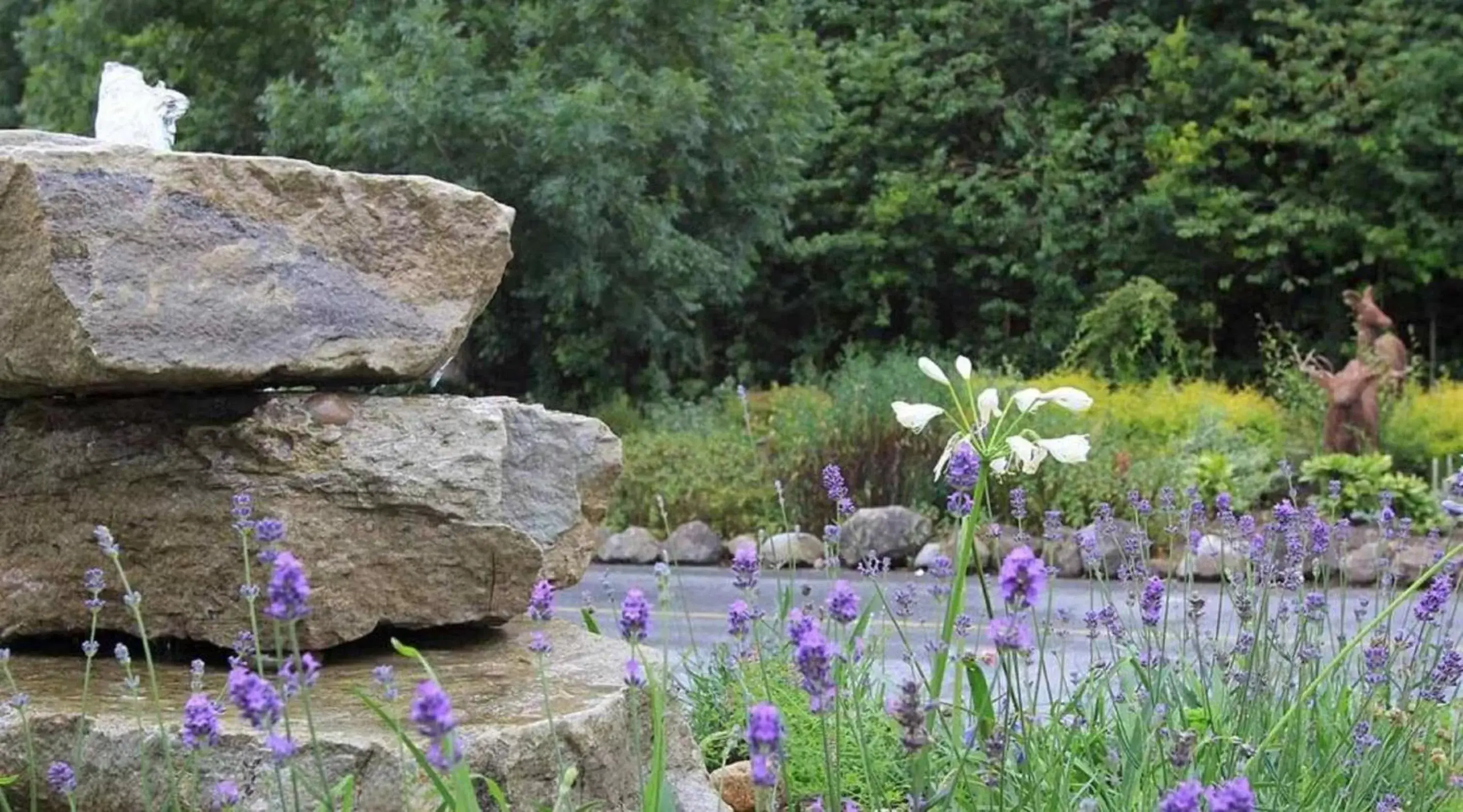 Property building, Natural Landscape in The Abbeyleix Manor Hotel