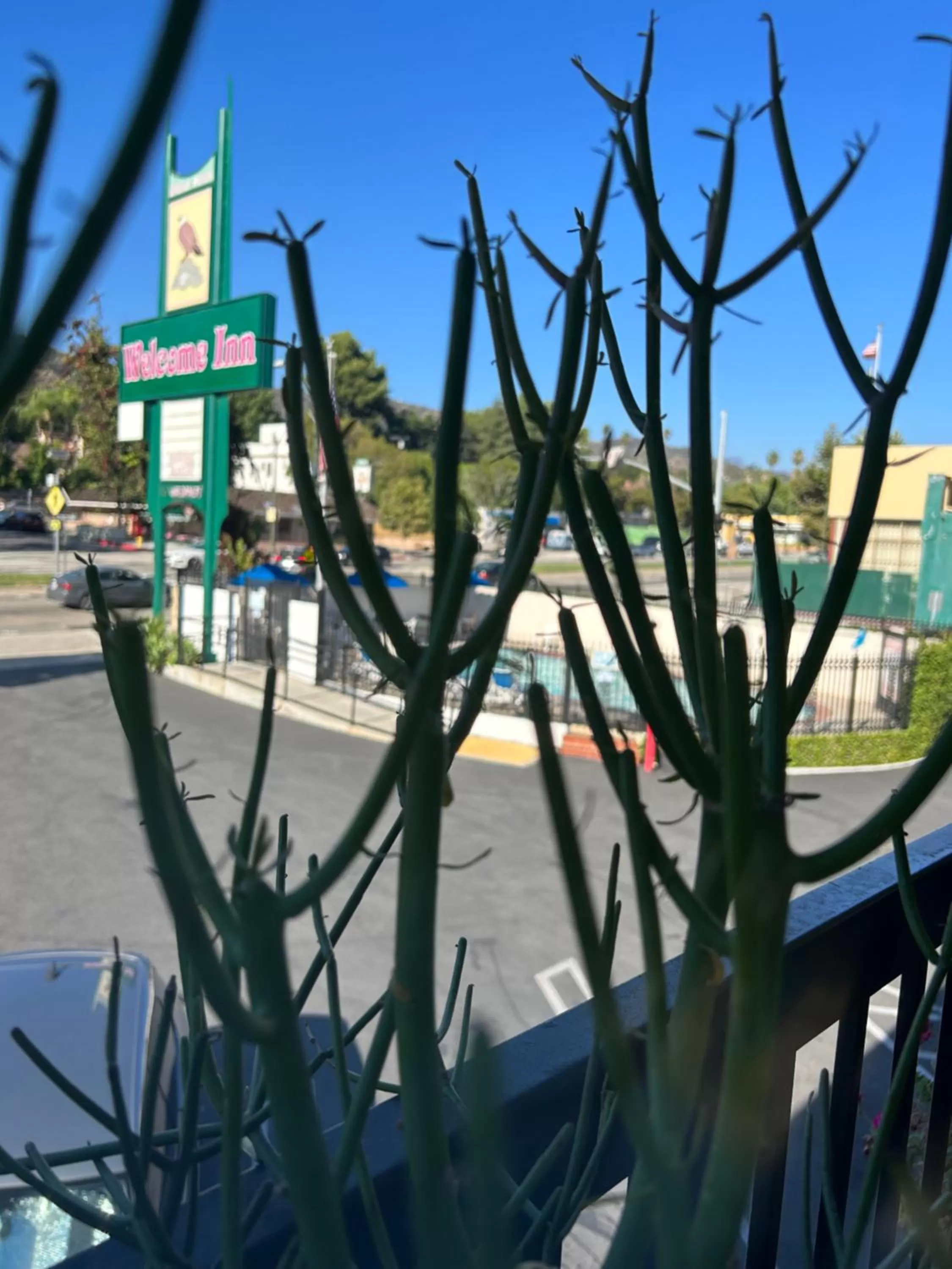 Garden in Welcome Inn