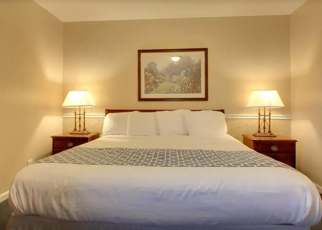 Bed in Alpine Inn & Suites Rockford