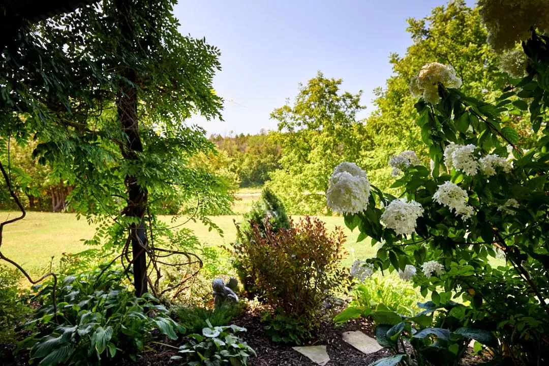 Garden in Samuels Boutique Hotel