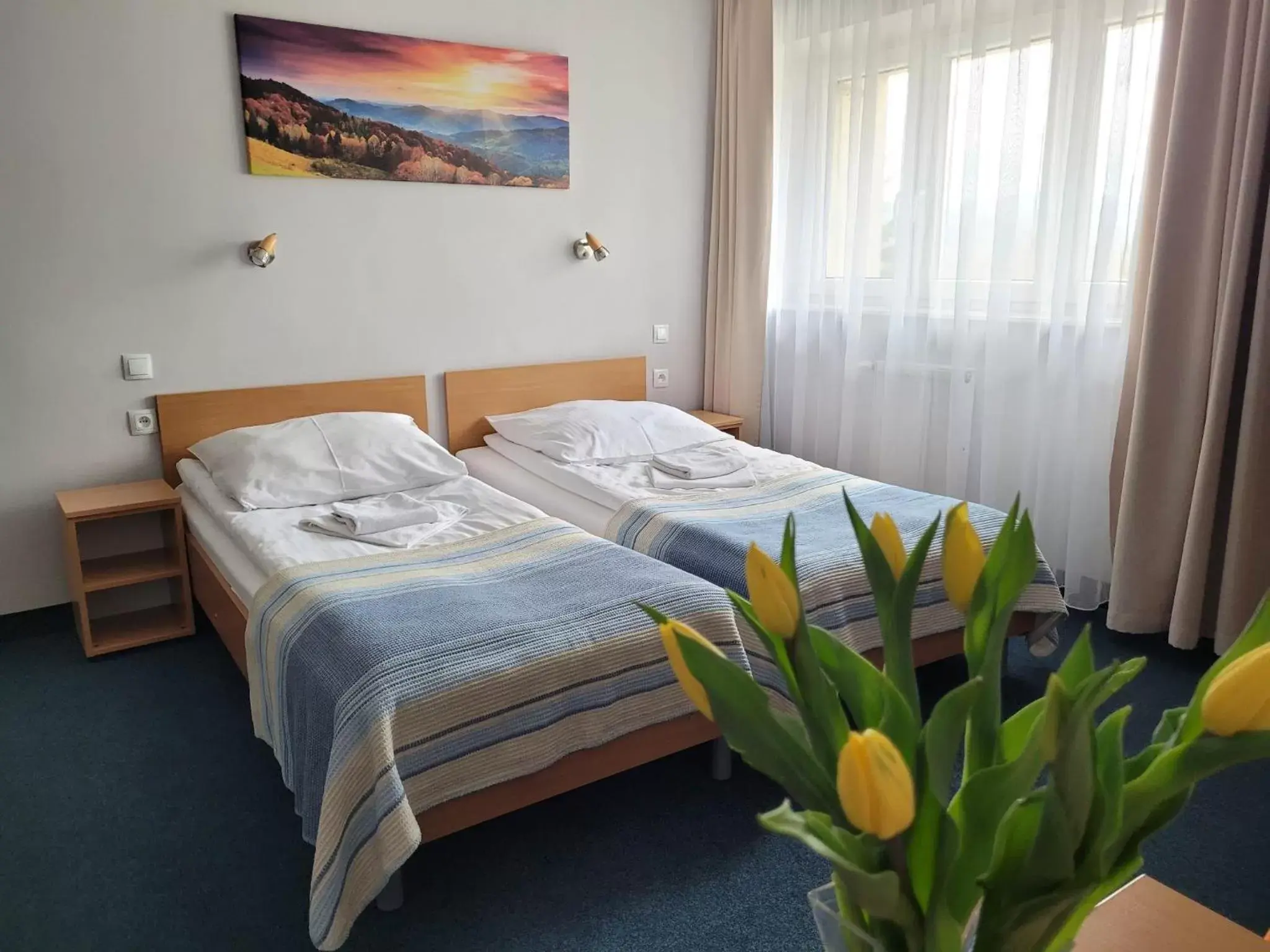 Twin Room in Hotel *** NAT Wisła Twin Room in Hotel *** NAT Wisła