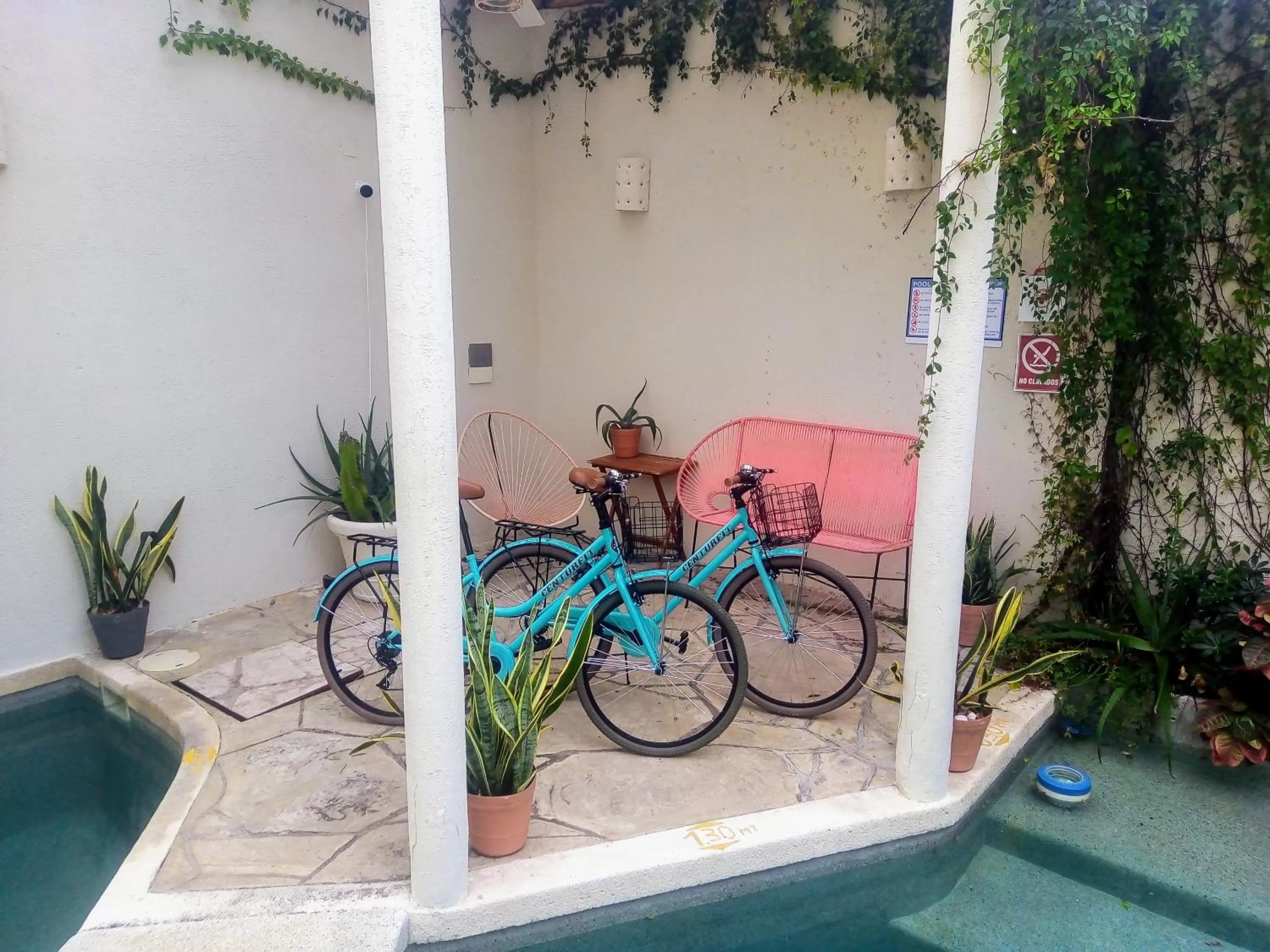 Bed and Breakfast Pecarí