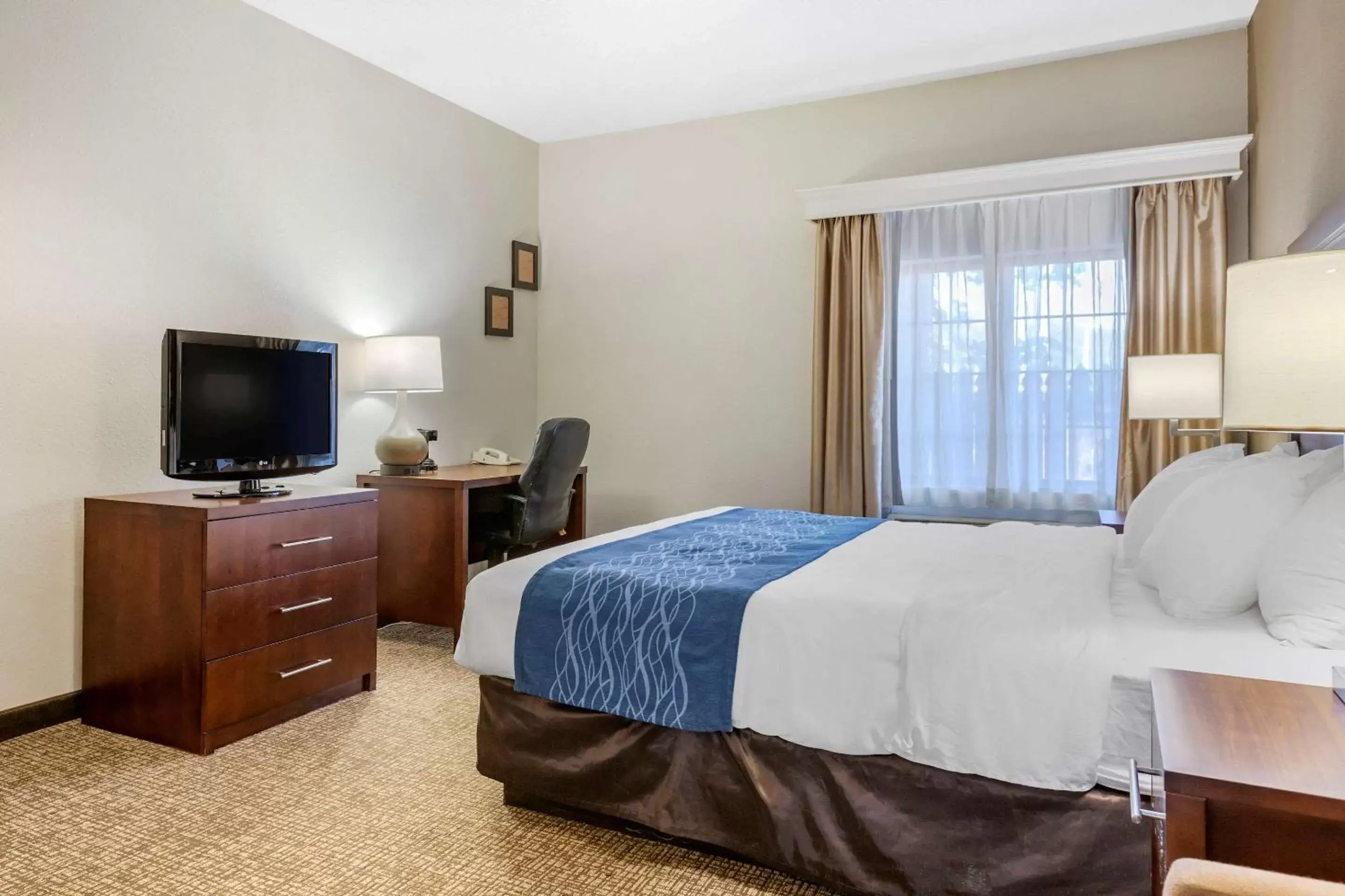 Photo of the whole room, Bed in Comfort Inn Downtown - University Area