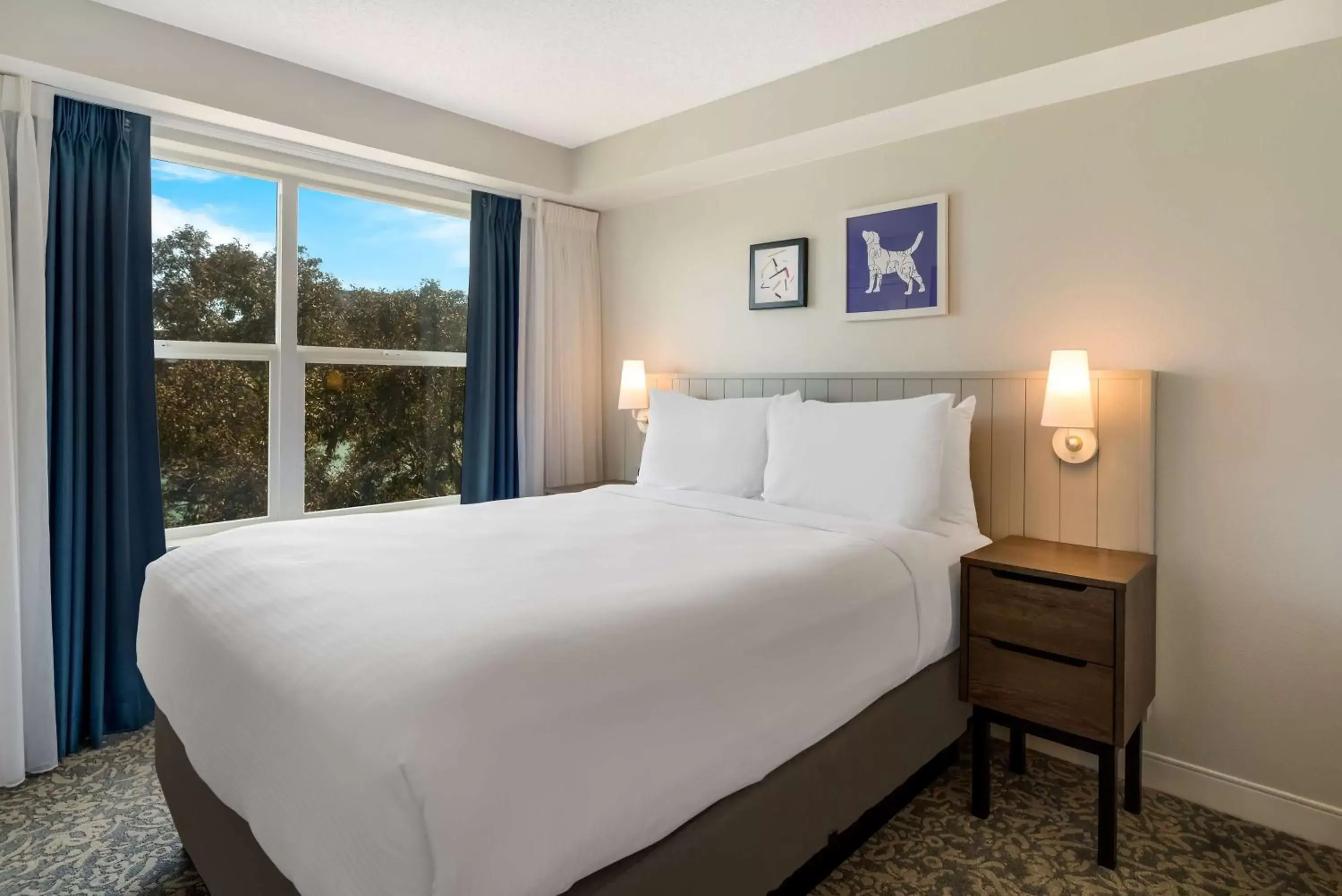 Photo of the whole room, Bed in Sonesta ES Suites San Francisco Airport Oyster Point Waterfront