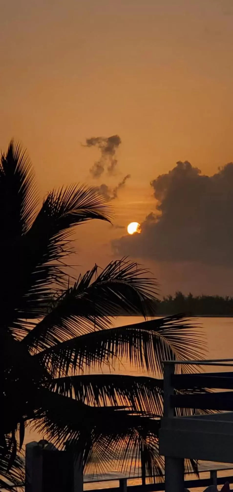 Sunrise in Selva Boutique Hotel - Luquillo Oceanfront Retreat - Adults Only