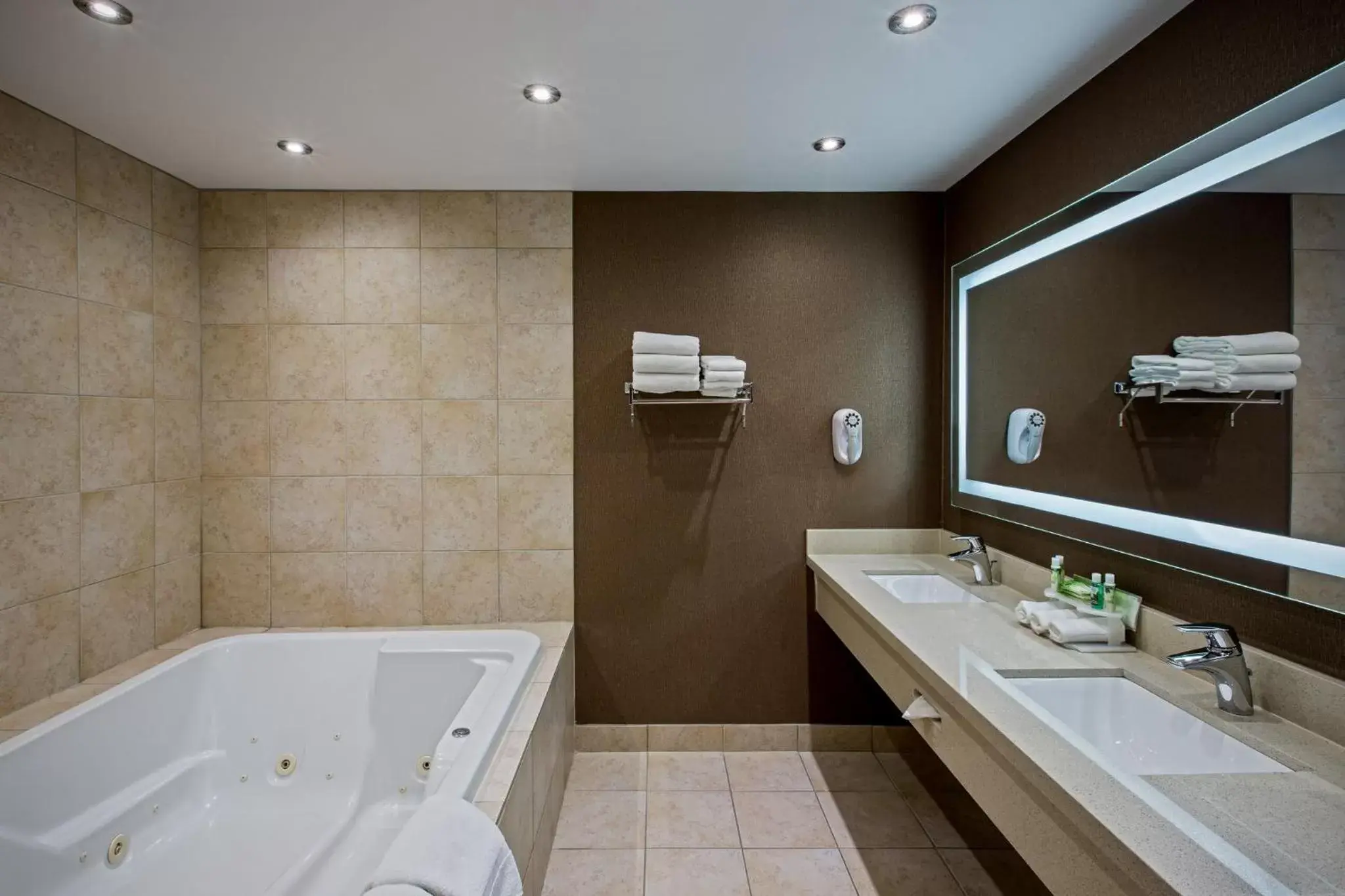 Bathroom in Holiday Inn Express & Suites Regina Downtown, an IHG Hotel