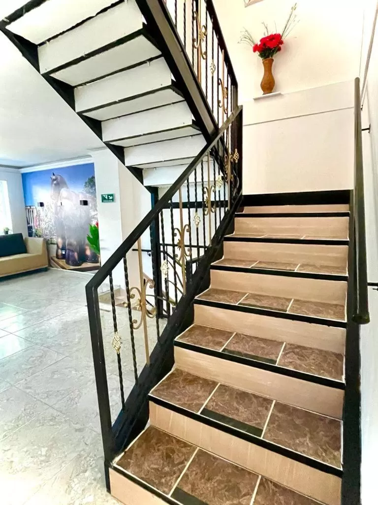 Area and facilities in Hotel Eterna Primavera