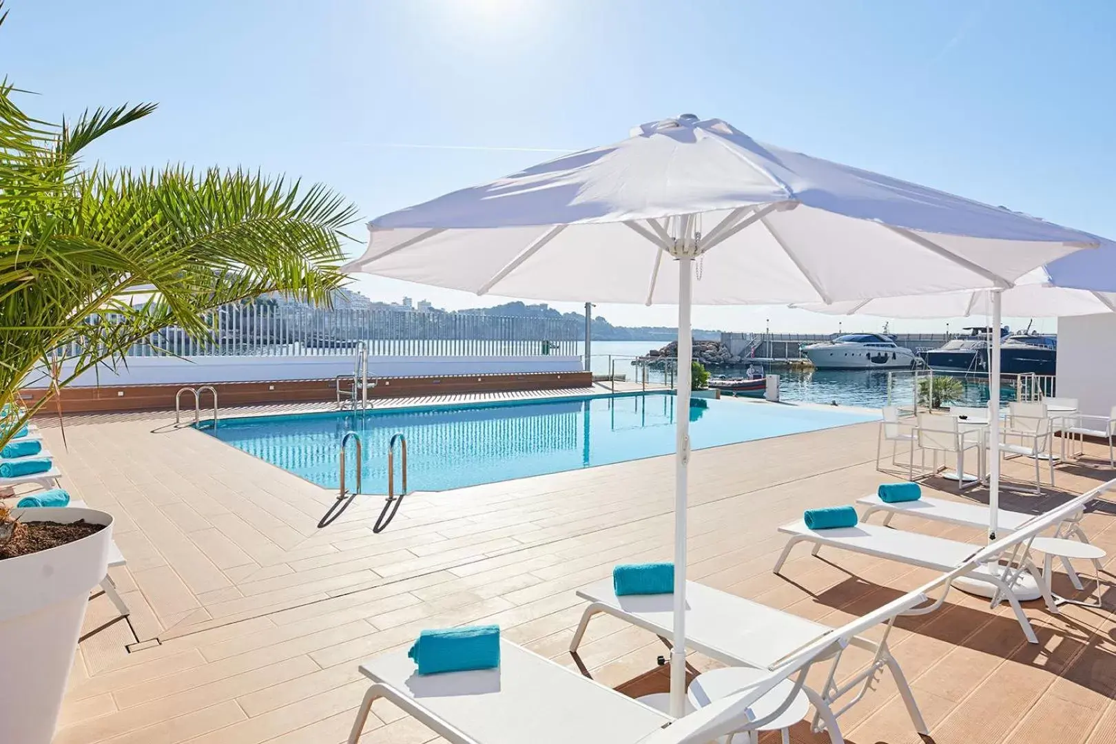 Swimming Pool in Calanova Sports Residence