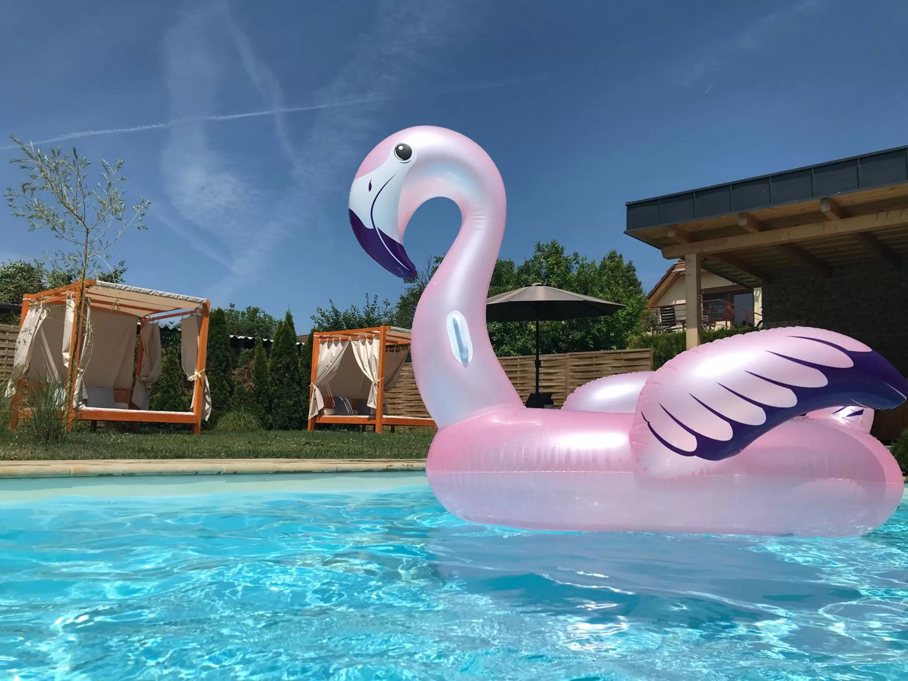 Swimming pool, Water Park in Villa Aruba & Private SPA Suites