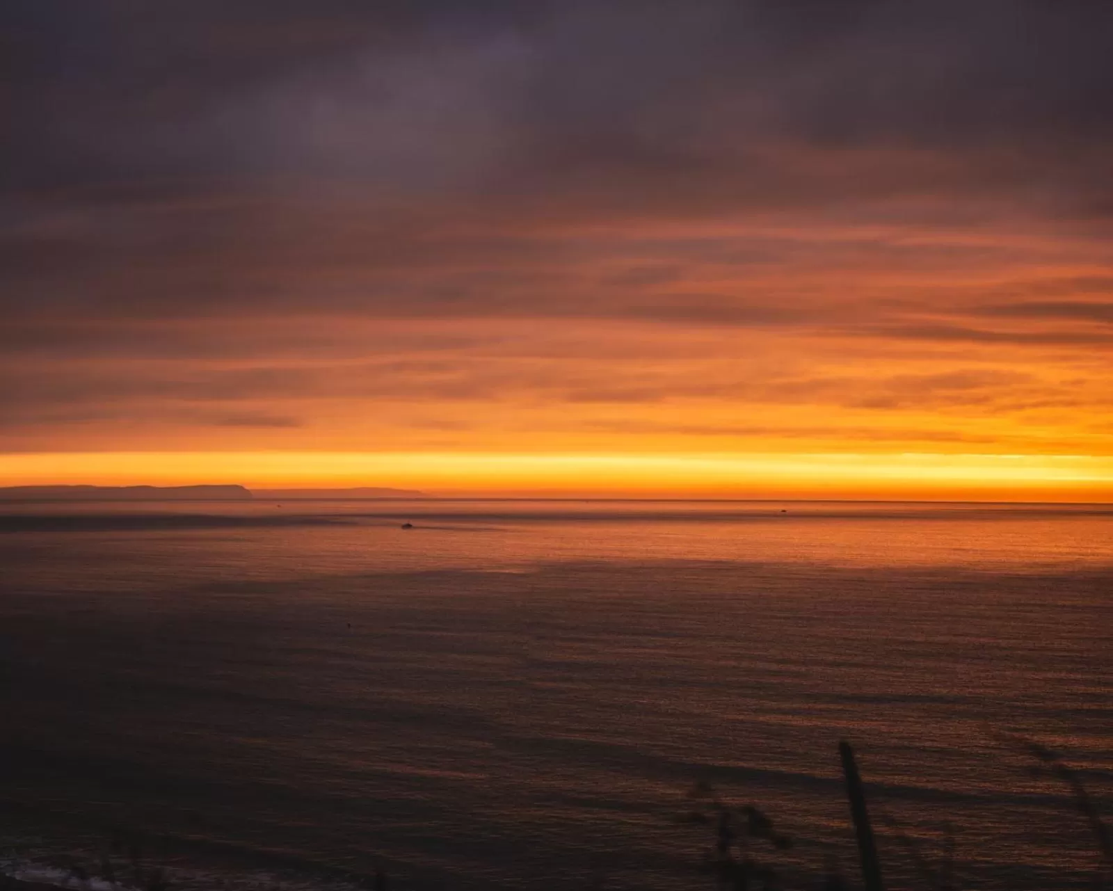 Natural landscape in Brooklands