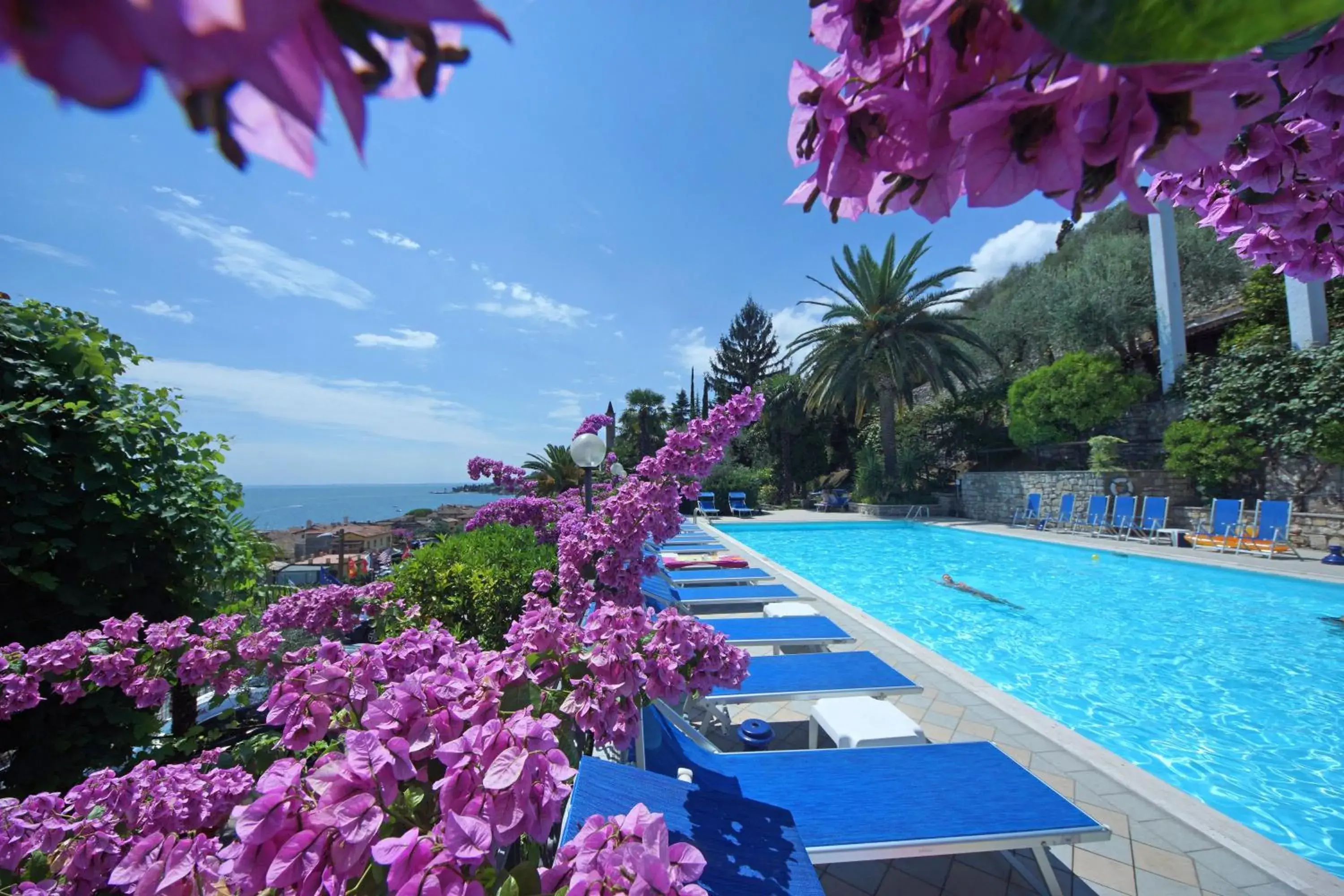 Pool view, Swimming Pool in Hotel Palazzina