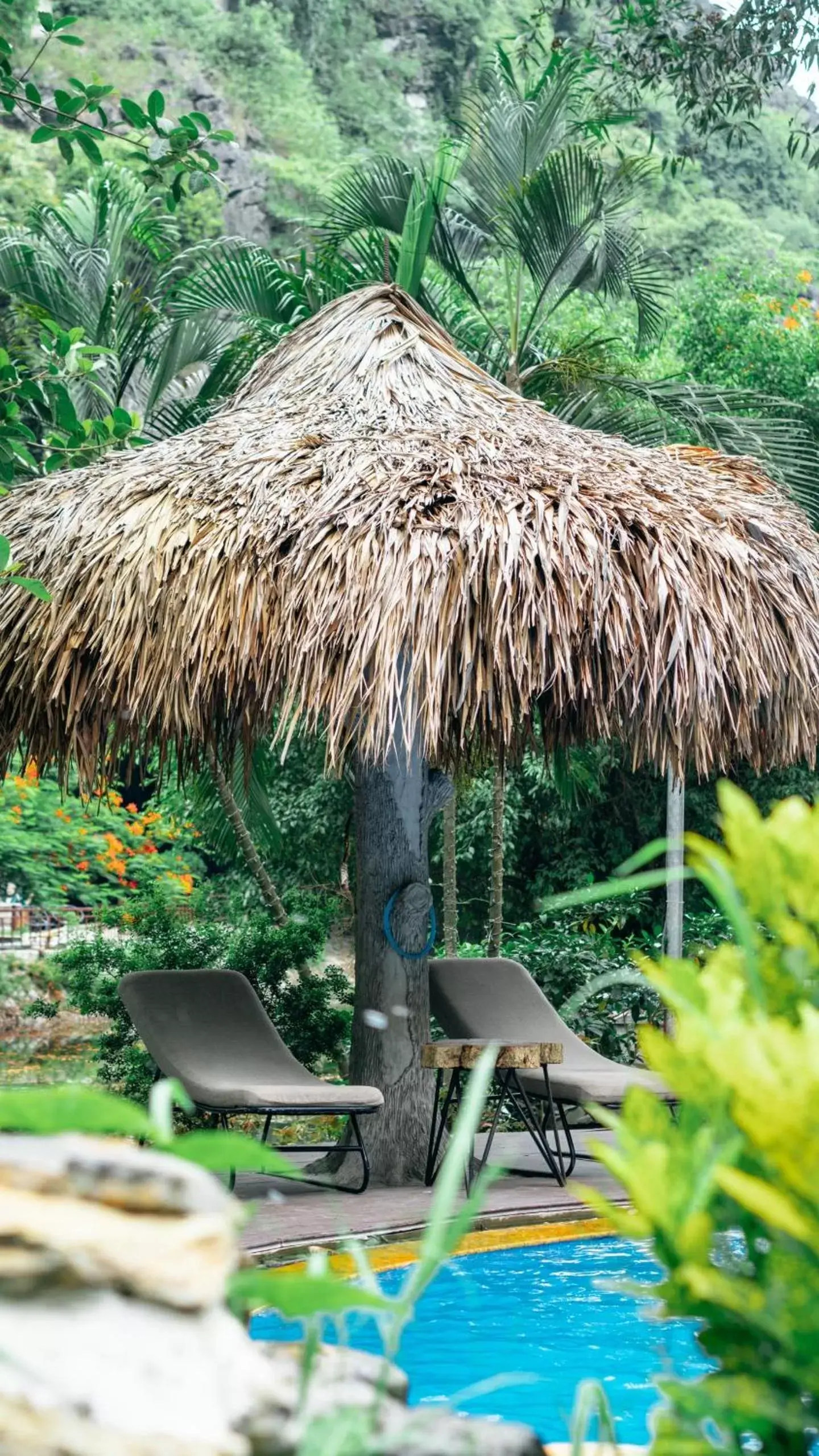 Swimming Pool in Mua Caves Ecolodge (Hang Mua)