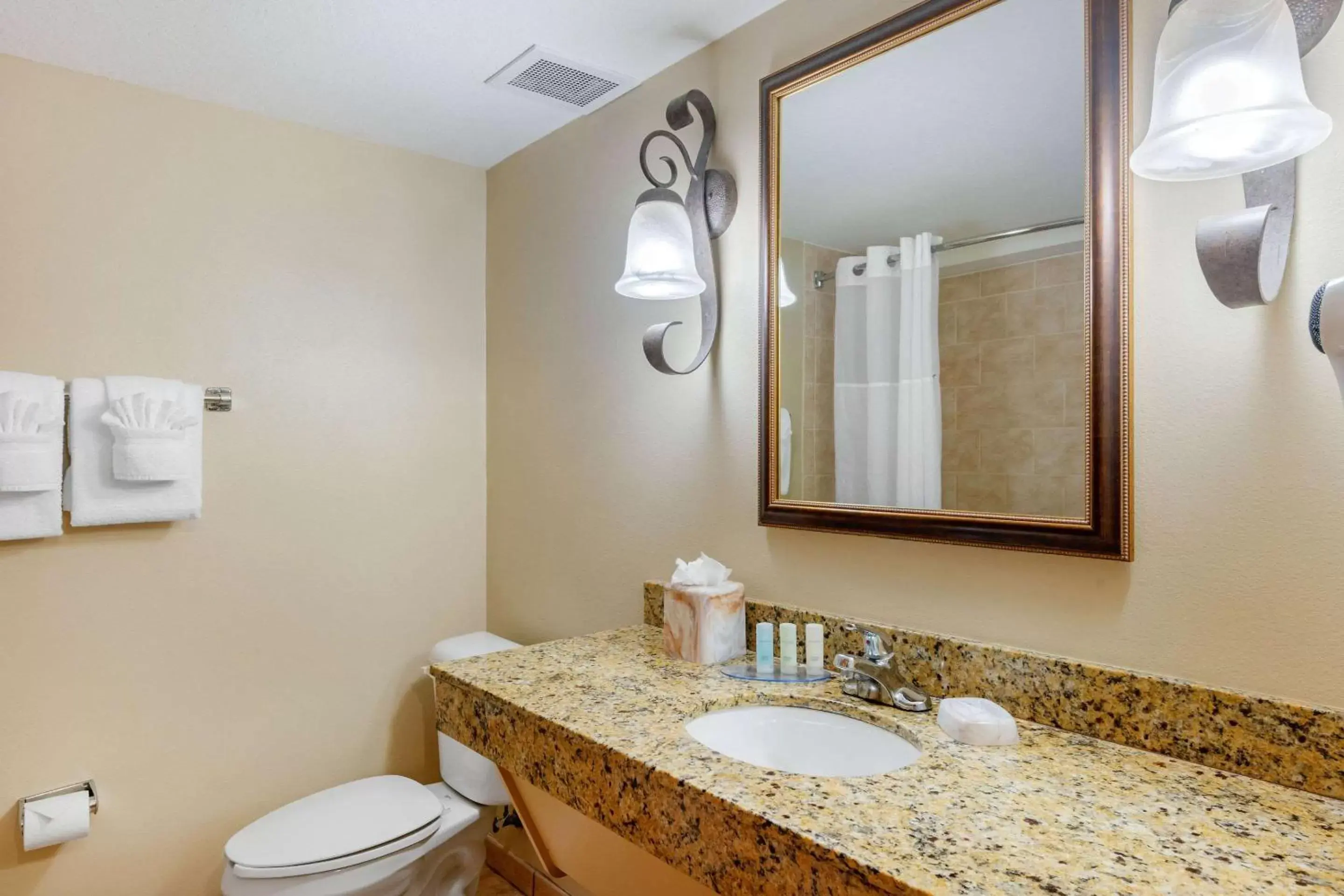 Bathroom in Clarion Inn Ormond Beach at Destination Daytona